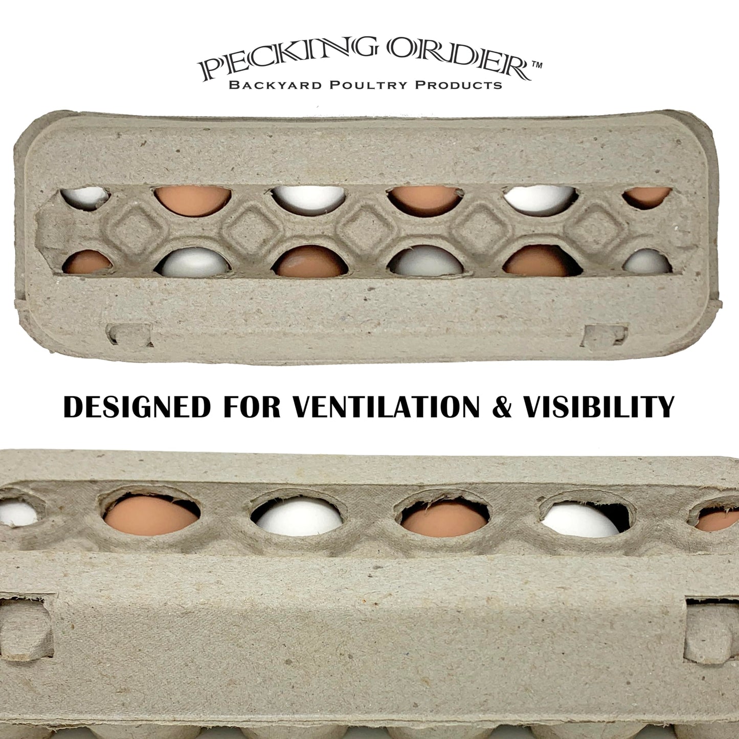 Paper Pulp Egg Cartons - 50 Pack