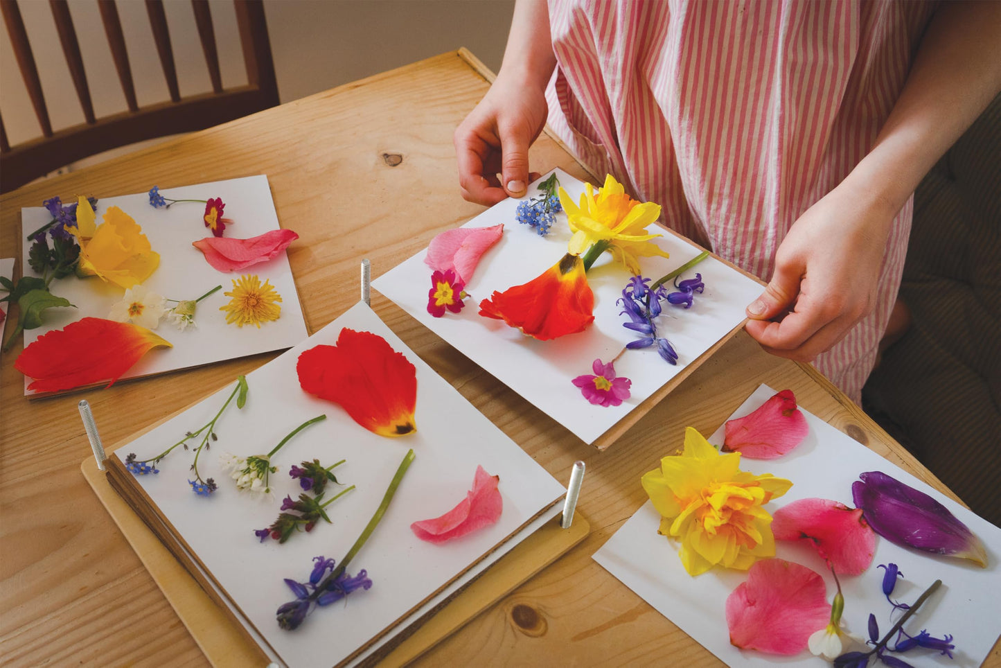 Tender Leaf Toys - My Botanical Press - 8.3 x 8.3 Inch 10 Layers Flower Press, DIY Dried and preserved flowers and leaves, Plants Art & Crafts kit - Age 3+