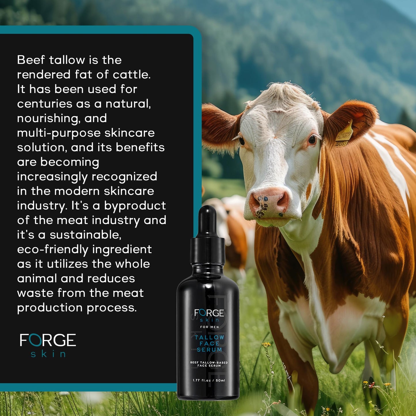 Forge Skin Men's Anti-Wrinkle Night Beef Tallow for Face Serum Skin Care - 50ML | Vitamin C Serum, Anti-Aging, Collagen Boost Skincare For Men | Mens Wrinkles Moisturizer Beef Tallow for Skin
