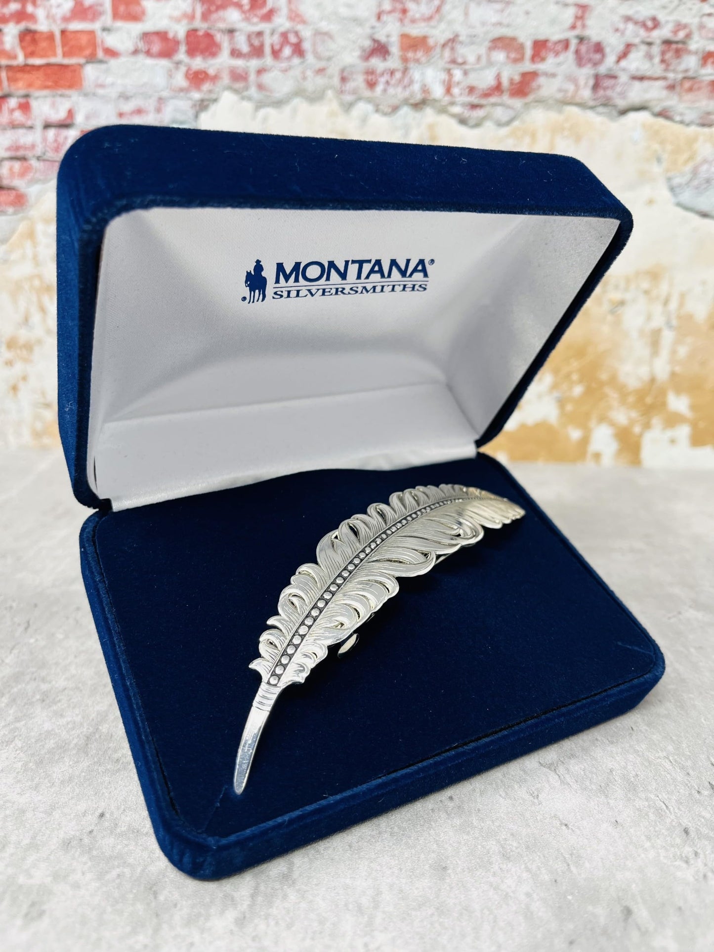 Montana Silversmiths Women's Antiqued Feather Barrette - BA4059RTS One Size