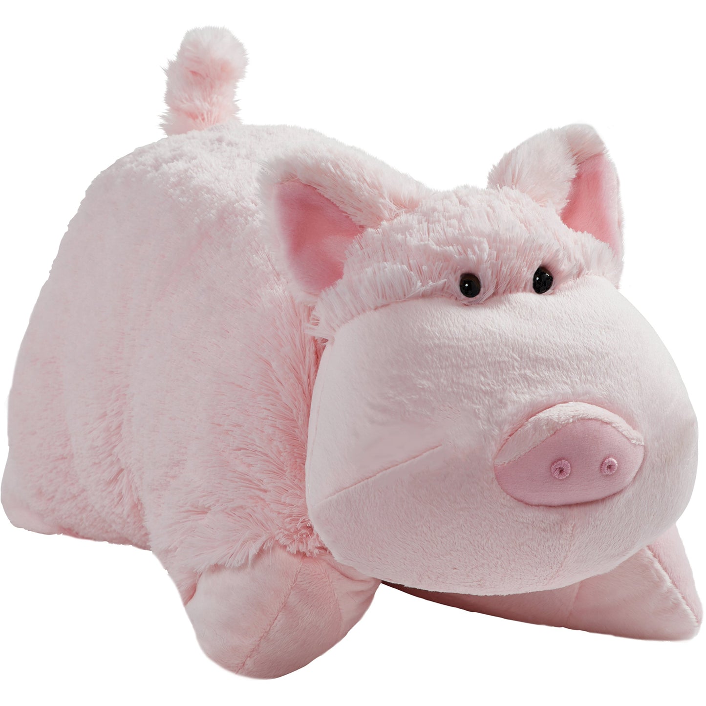Wiggly Pig