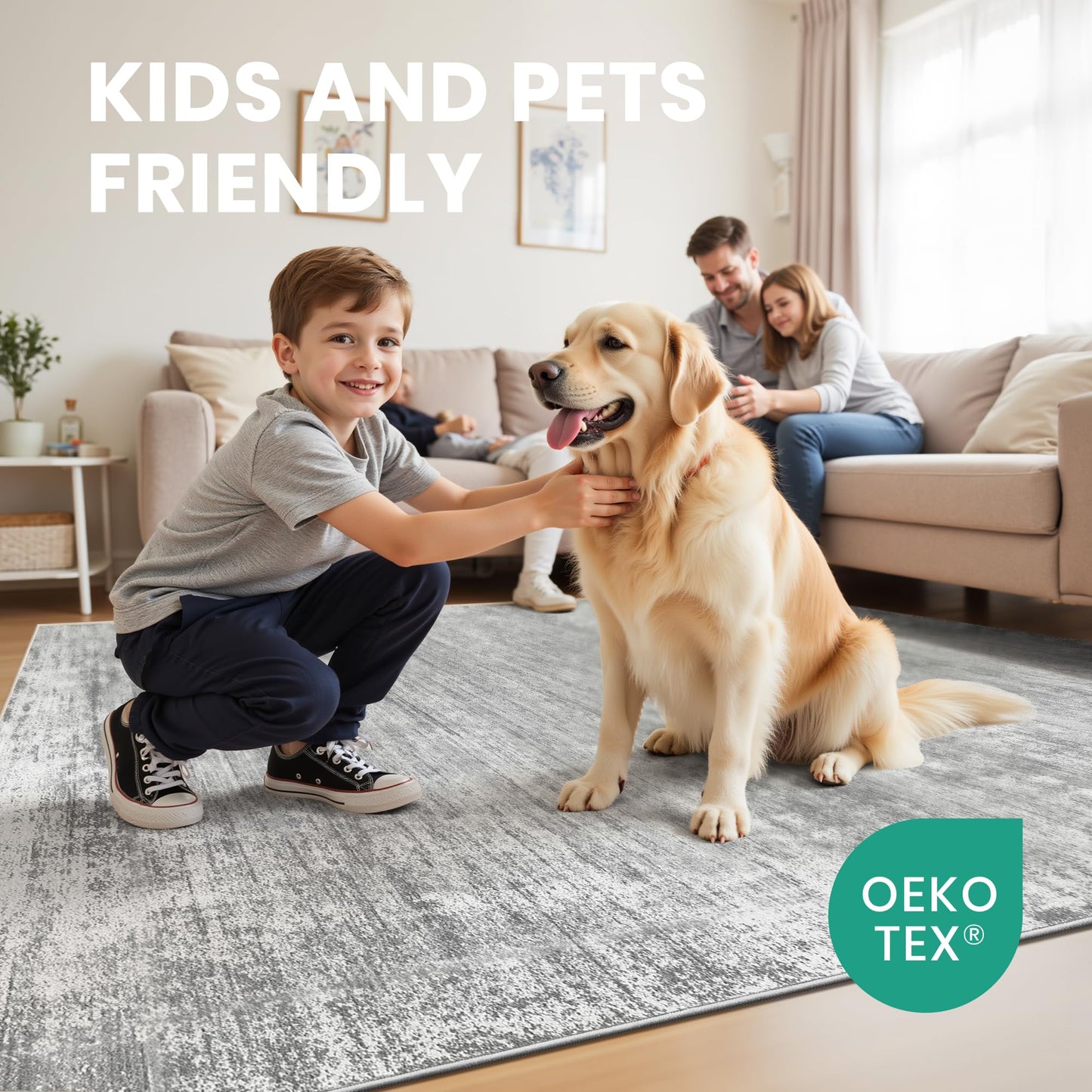 zesthome 5x7 Area Rugs, Modern Washable Rug, Non-Slip Rugs for Living Room, Stain Resistant Abstract Rugs, Ultra-Thin Indoor Area Rug 5x7, Home Decor Grey Rug