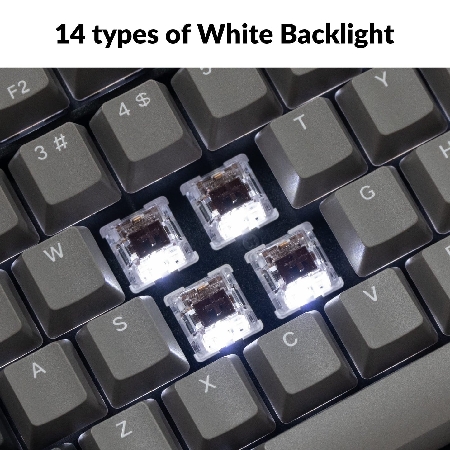 Keychron C2 Pro Wired Custom Mechanical Keyboard Full Size Layout QMK/VIA Programmable Macro White Backlit with Keychron K Pro Brown Switch OEM Profile Double-Shot PBT Keycaps for Mac Windows Linux