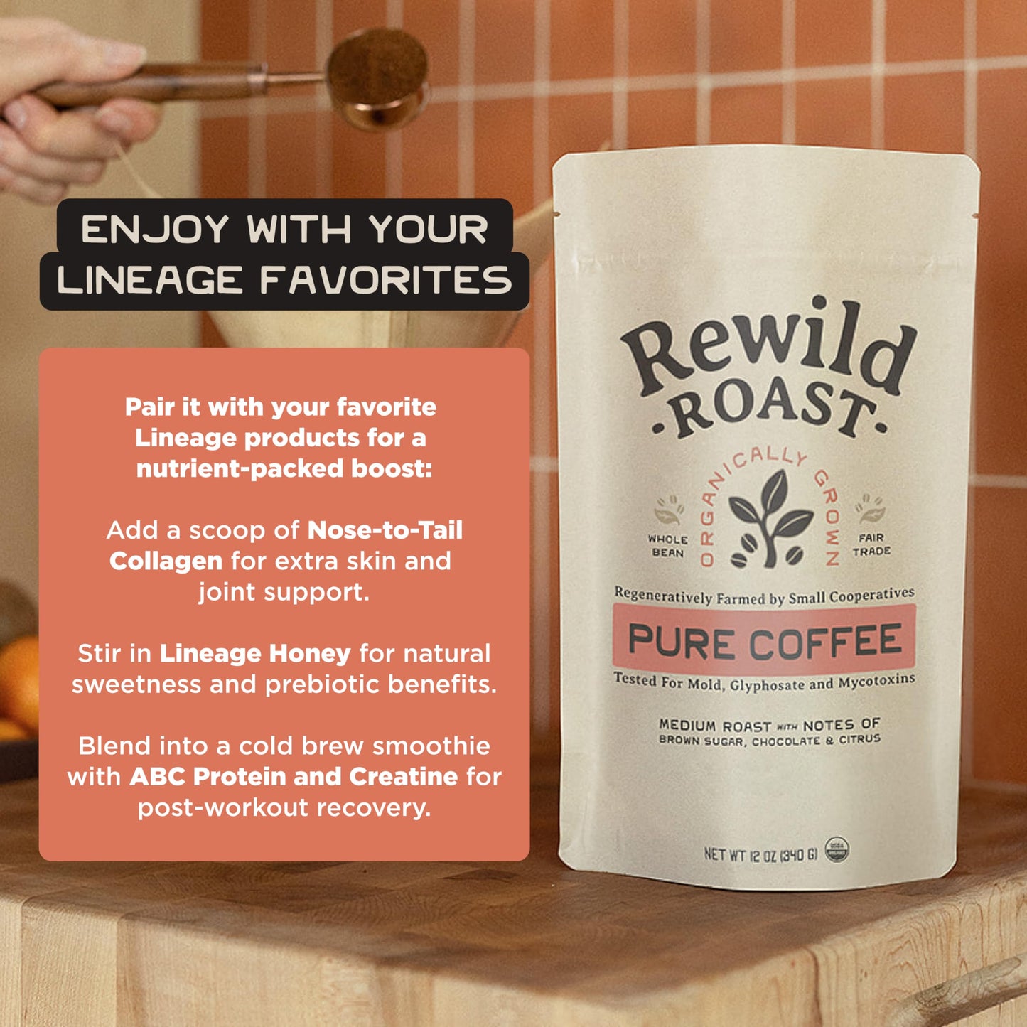 Lineage Provisions Rewild Roast Coffee - Organic Whole Coffee Beans - Arabica Medium Roast - Brown Sugar, Dark Chocolate, Toasted Walnut, Citrus - 1-Pack, 12 oz