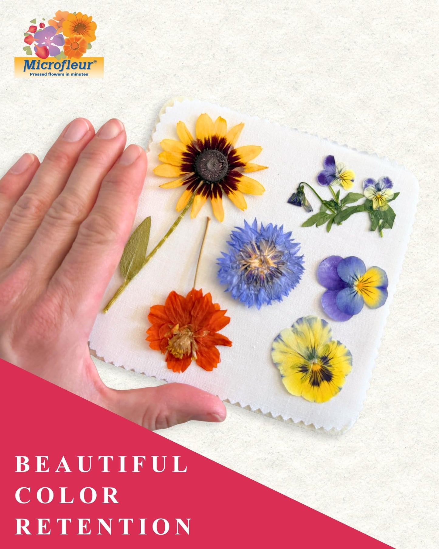 Microfleur Regular 5" Microwave Flower Press