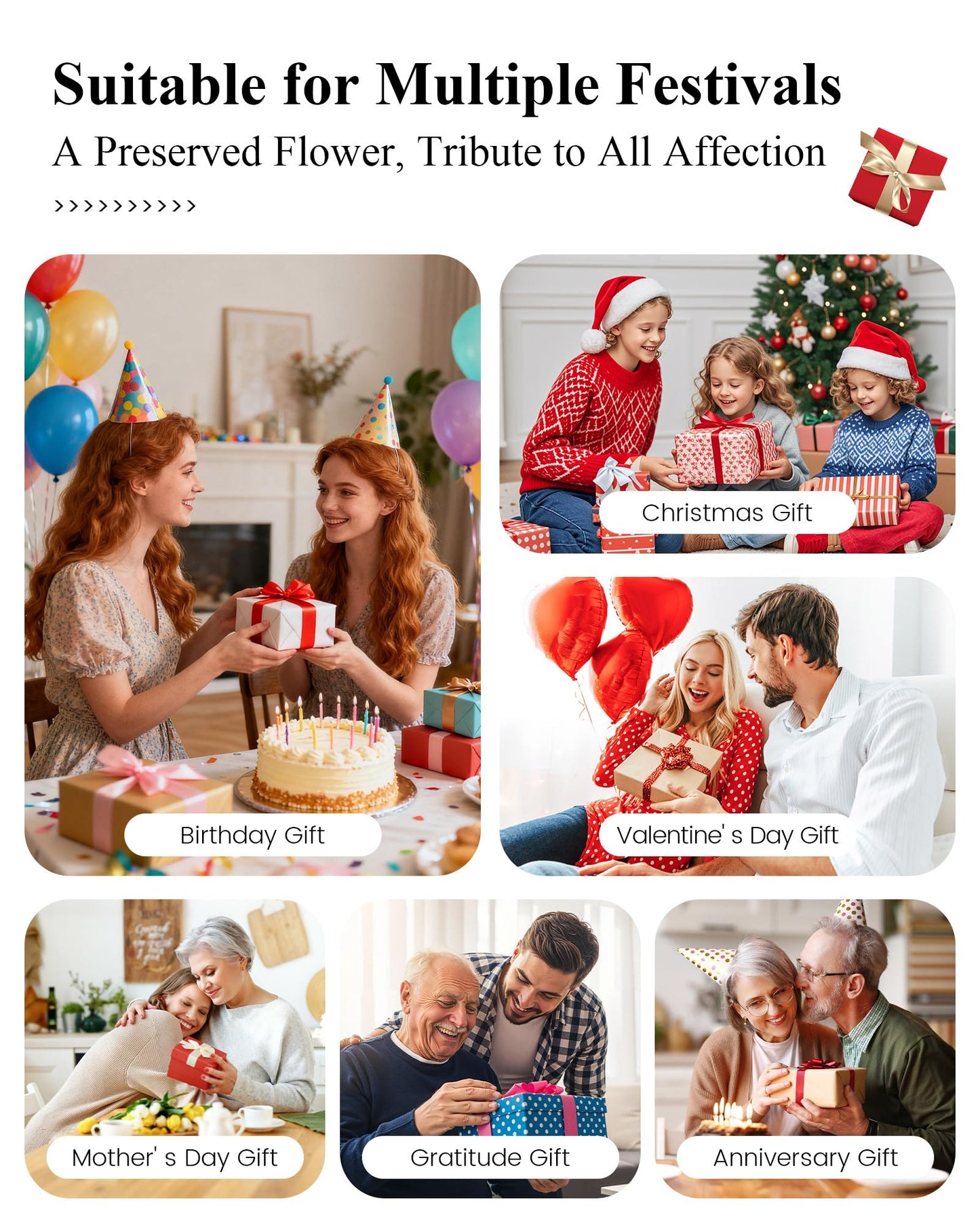 Agrul Birthday Gifts for Women Forever Preserved Flowers Roses in Glass Dome for Women Mom Wife Girlfriend Daughter Birthday Gifts/Pink Rose