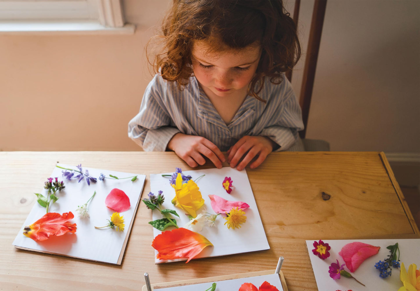 Tender Leaf Toys - My Botanical Press - 8.3 x 8.3 Inch 10 Layers Flower Press, DIY Dried and preserved flowers and leaves, Plants Art & Crafts kit - Age 3+