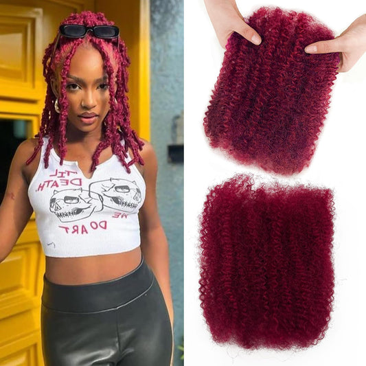 14 Inch Afro Kinkys Bulk Human Hair 99j Afro Kinky Curly Human Hair Bulk for Dreadlock Extensions,Micro Locs,Twists, Braids and Repair Locs