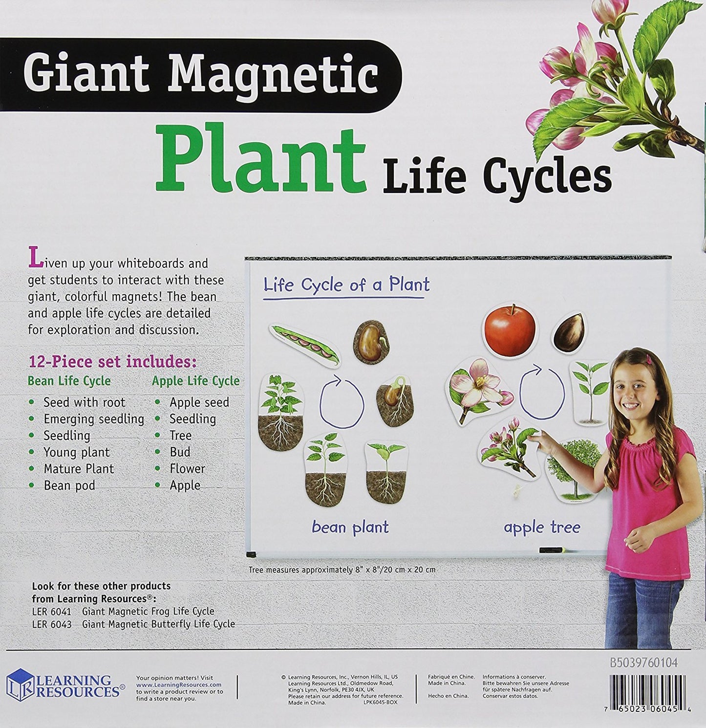 Learning Resources LER6045 Giant Magnetic Plant Life Cycle, 12 Write and Wipe Pieces, Ages 5+
