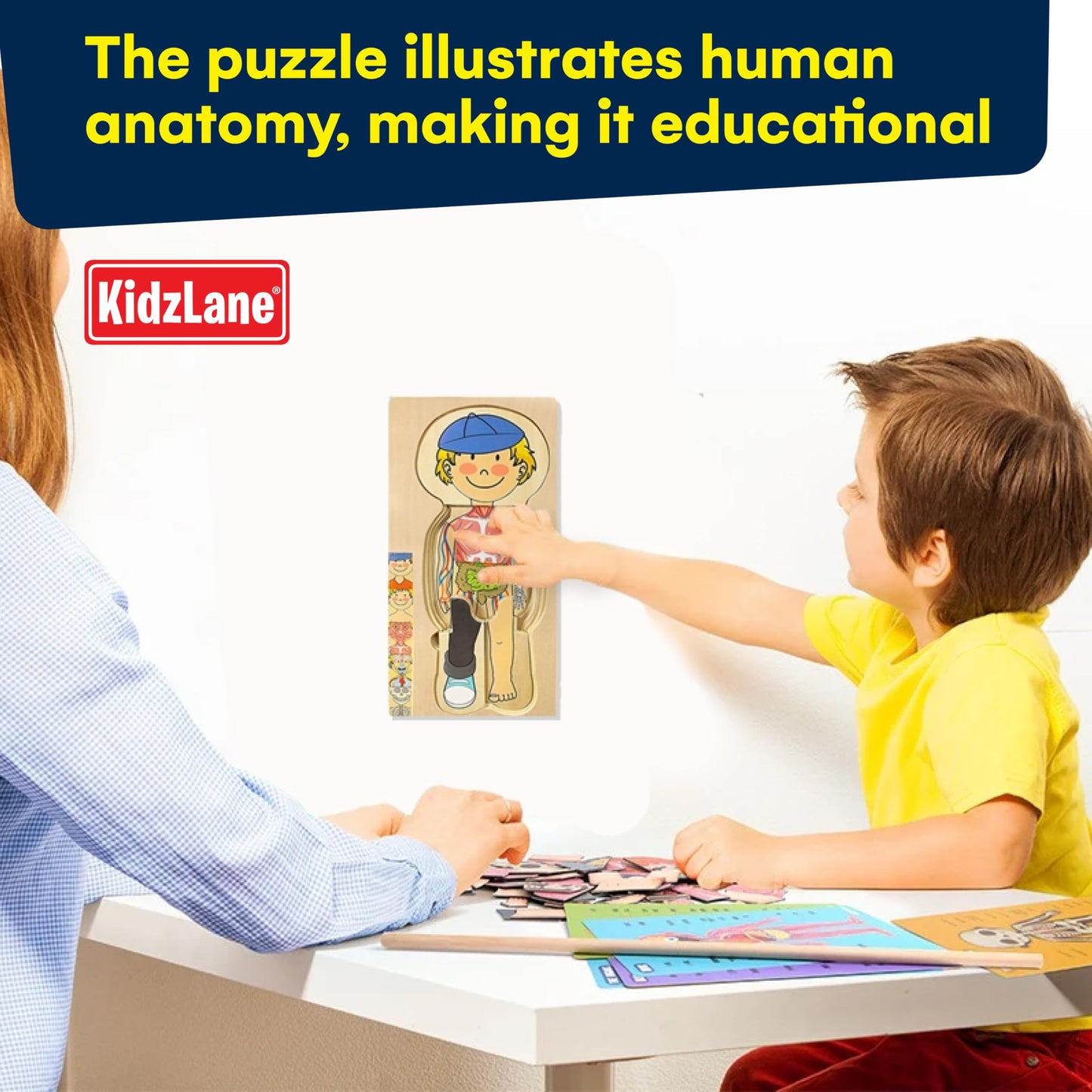Kidzlane Wooden Human Body Puzzle for Kids and Toddlers | 29 Piece Boys Anatomy Play Set | Skeleton Toy for Ages 3+