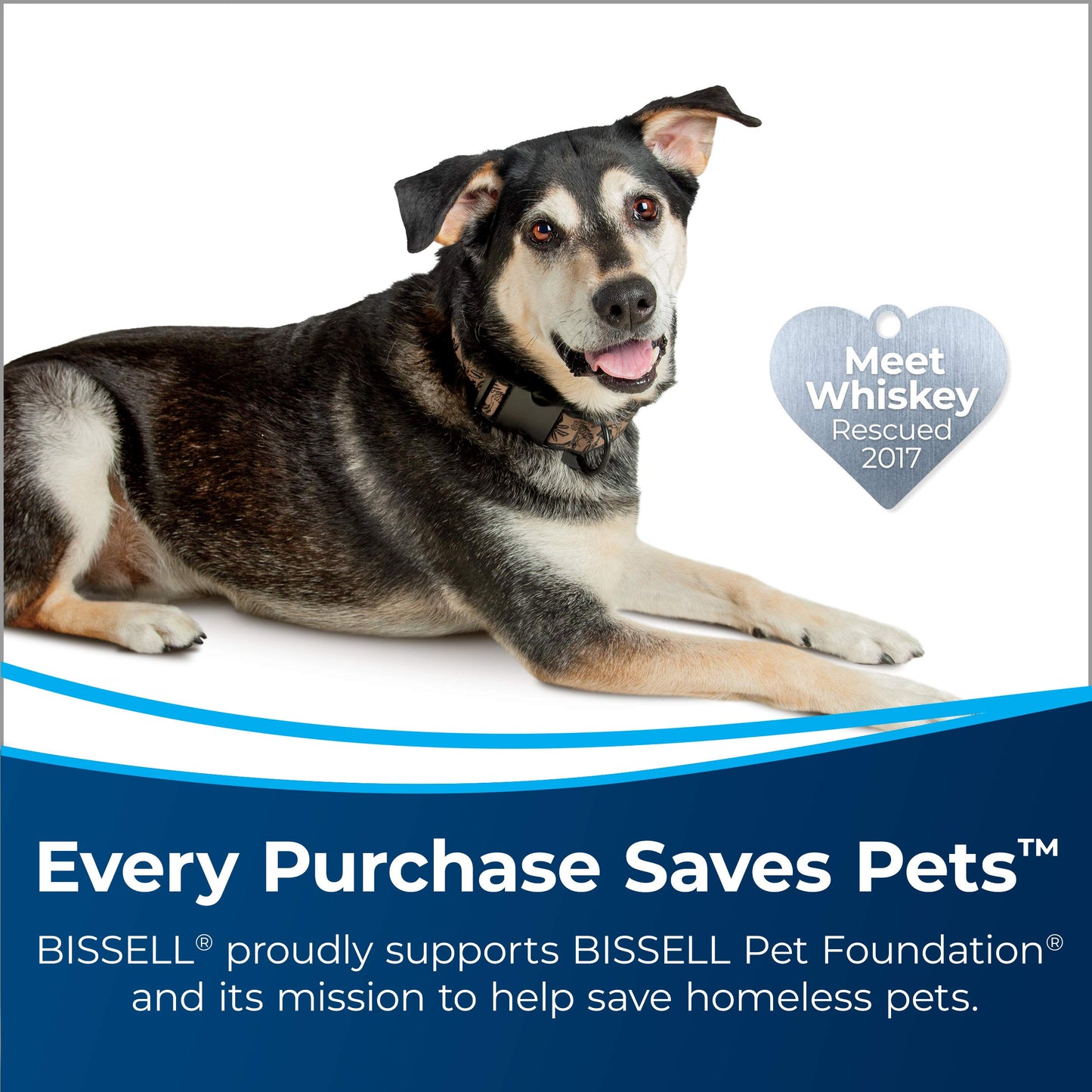 Bissell Rinse & Storage Tray - ProHeat 2X® Revolution® Pet Pro, 3263