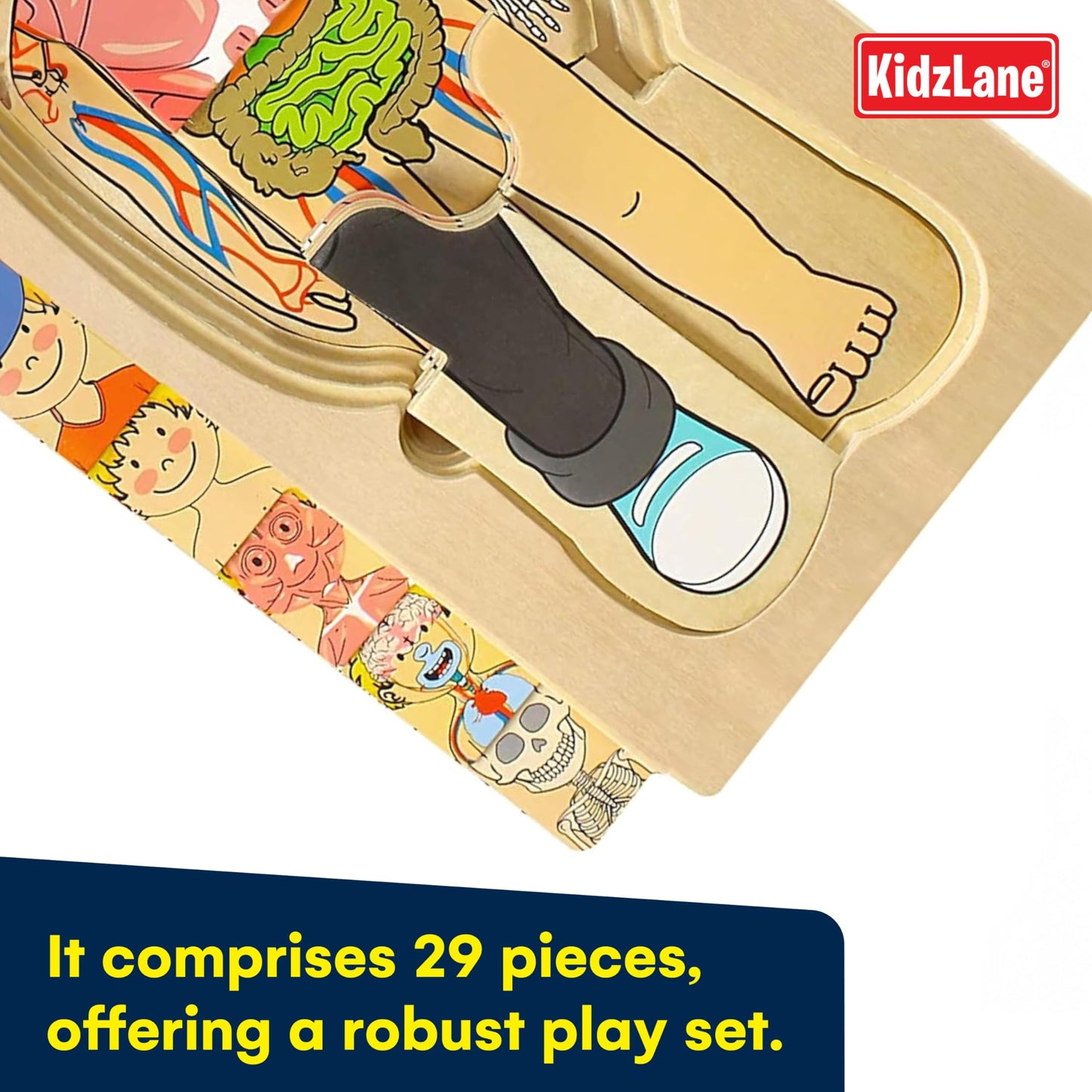 Kidzlane Wooden Human Body Puzzle for Kids and Toddlers | 29 Piece Boys Anatomy Play Set | Skeleton Toy for Ages 3+