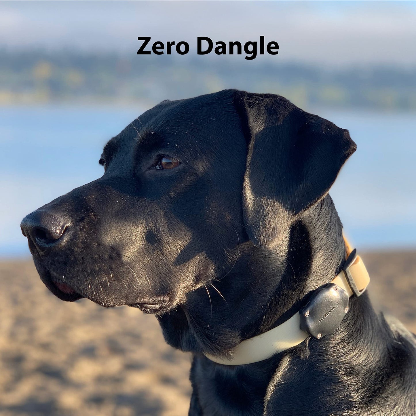 TagVault™ AirTag Dog Collar Mount (2 Pack) - IP69 Waterproof, Doesn't Dangle, Fits All Width Collars | Elevation Lab