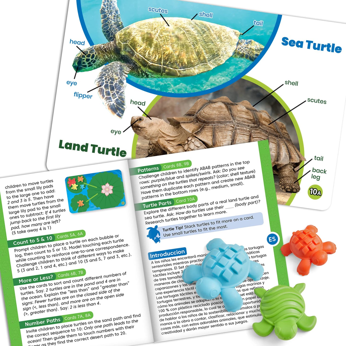 Learning Resources Maths Activity Set Tactile Turtles Numbers Learning for Toddlers, Math Counter for Children, Colour Sorting Toy, Sensory Game with Turtles, Montessori