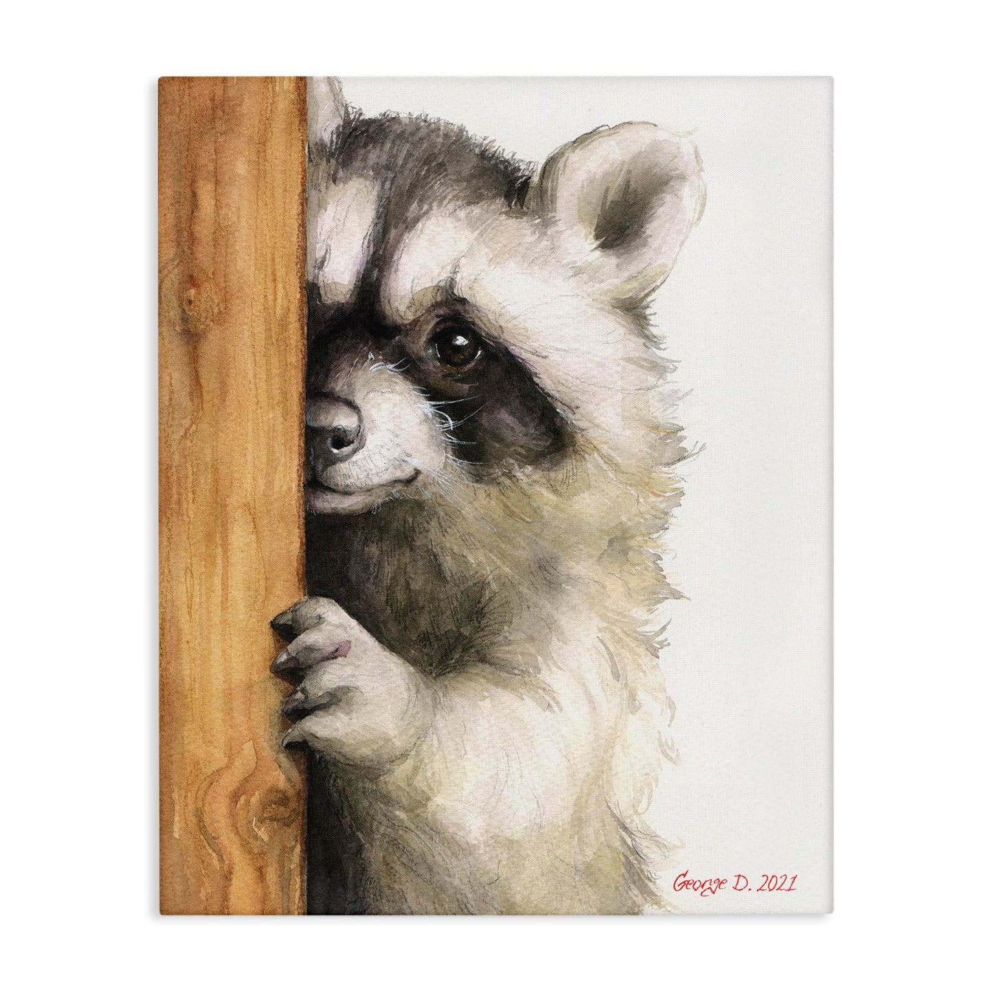 Stupell Industries Peering Raccoon Cute Smile Watercolor Animal Painting, Design by George Dyachenko