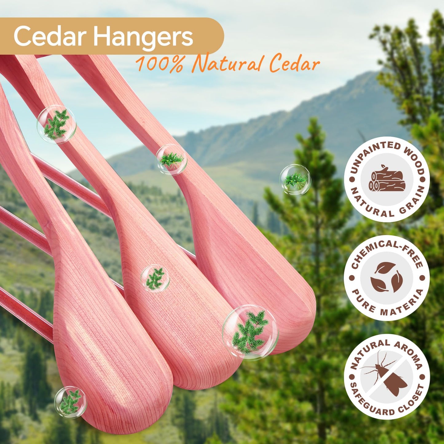 HOUSE DAY Wide Shoulder Cedar Hangers for Suits and Coats with Non Slip Pant Bar,360° Swivel Hook, Smooth Finish Cedar Wood Hangers for Closet, Closet Essentials, 10 Pack