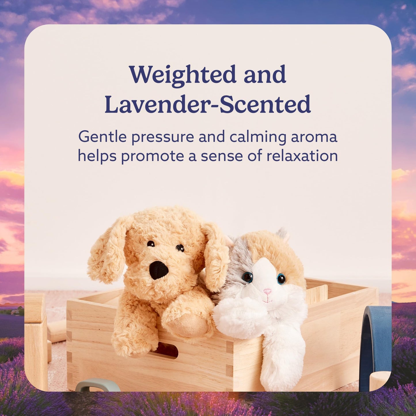 INTELEX Warmies Microwavable French Lavender Scented Plush, Golden Dog Warmies