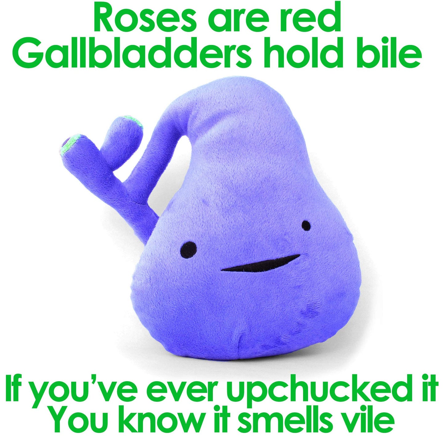 Gallbladder Giant Plush