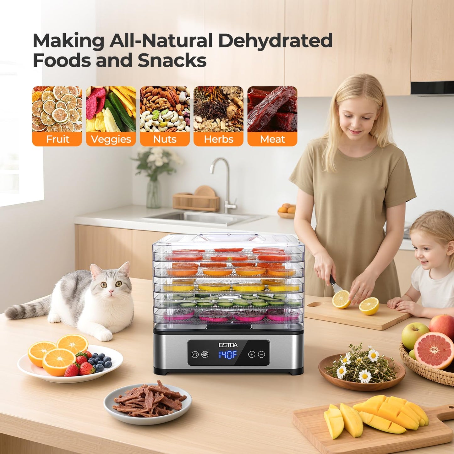 OSTBA Food Dehydrator, 5 Stainless Steel Trays, 400W Powerful Drying, 48H Timer & 95–160°F Temp Control, Quiet Small Dryer for Jerky, Fruits, Herbs, Mushrooms, BPA-Free, Recipes Included