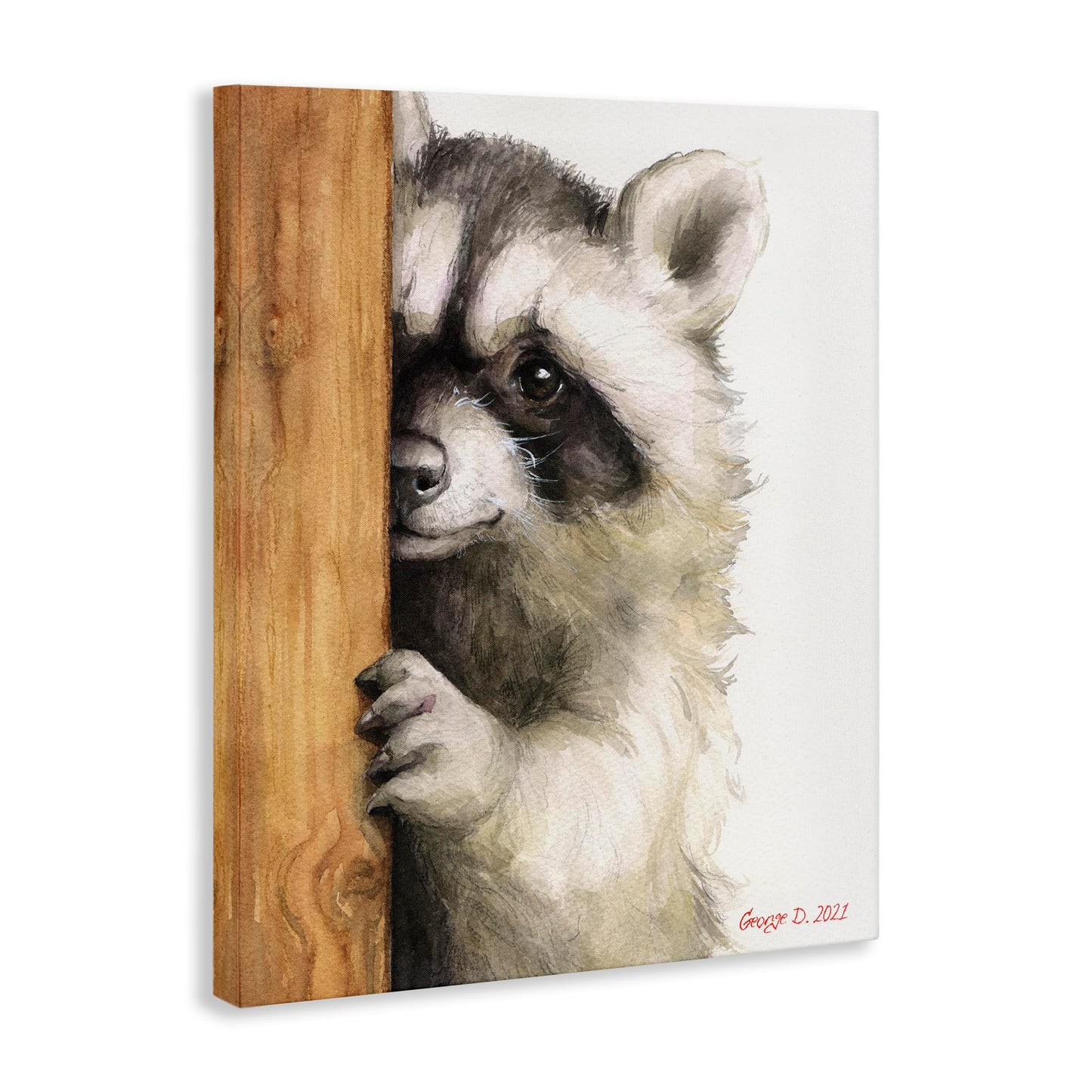 Stupell Industries Peering Raccoon Cute Smile Watercolor Animal Painting, Design by George Dyachenko