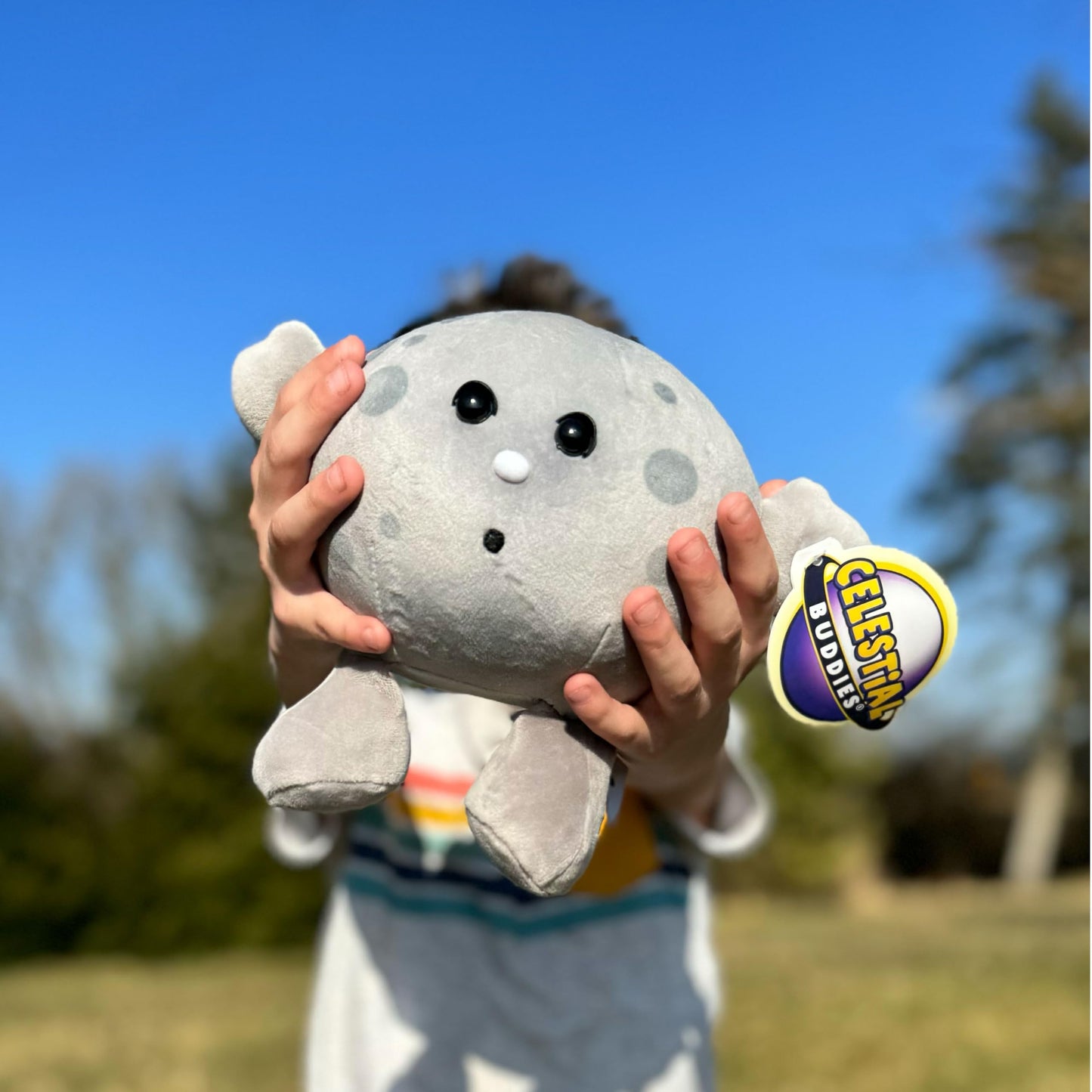 Celestial Buddies Moon Buddy Learning Science Astronomy Space Solar System Educational Plush Blue Planet Toys