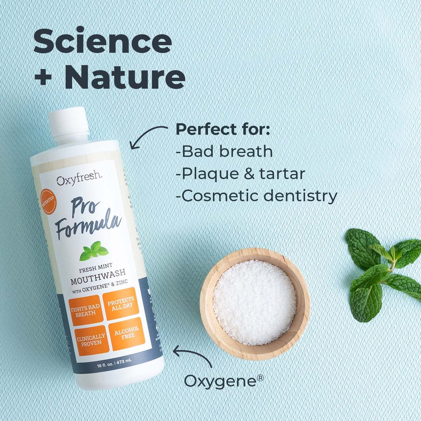Oxyfresh Pro Formula Fresh Mint Mouthwash – Patented Zinc Mouthrinse for Fresh Breath & Soothing Gums – Dye Free, Fluoride Free, Alcohol Free Mouthwash – 3 Bottles, 16 oz. ea.