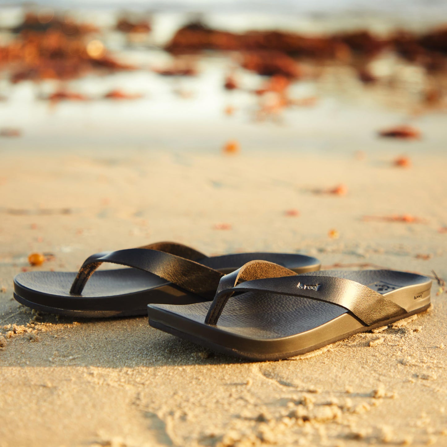 Reef Cushion Court Womens Flip Flop, Molded Cushion Footbed, Arch Support, Tan/Champagne, 9.5