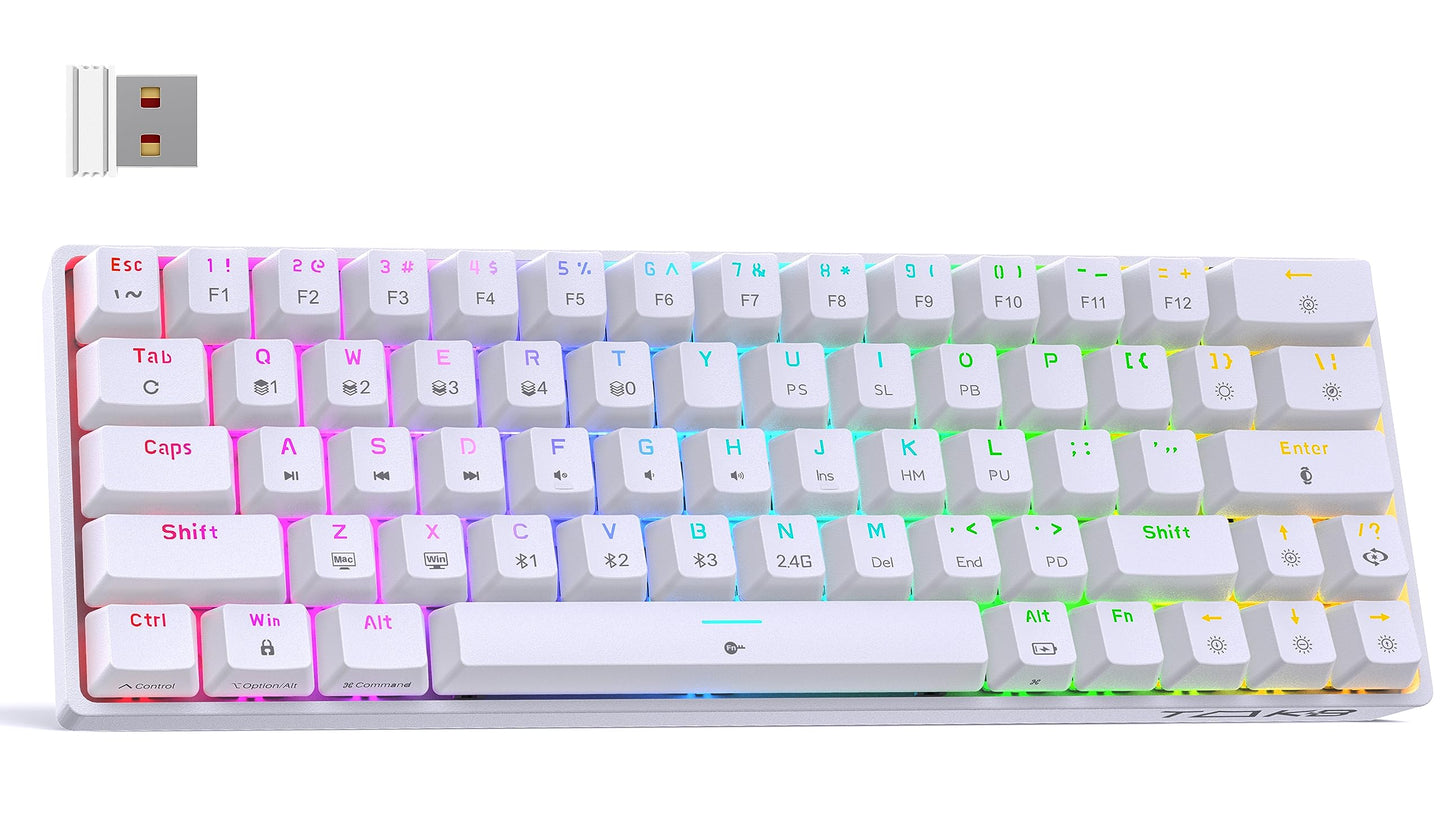 DIERYA T63 60% Wireless Mechanical Gaming Keyboard | Bluetooth/2.4G/Wired Keyboard | RGB Backlit Compact 63 Keys Mini Office Keyboard | with Red Switch | for Windows Laptop PC Gamer Typist-White
