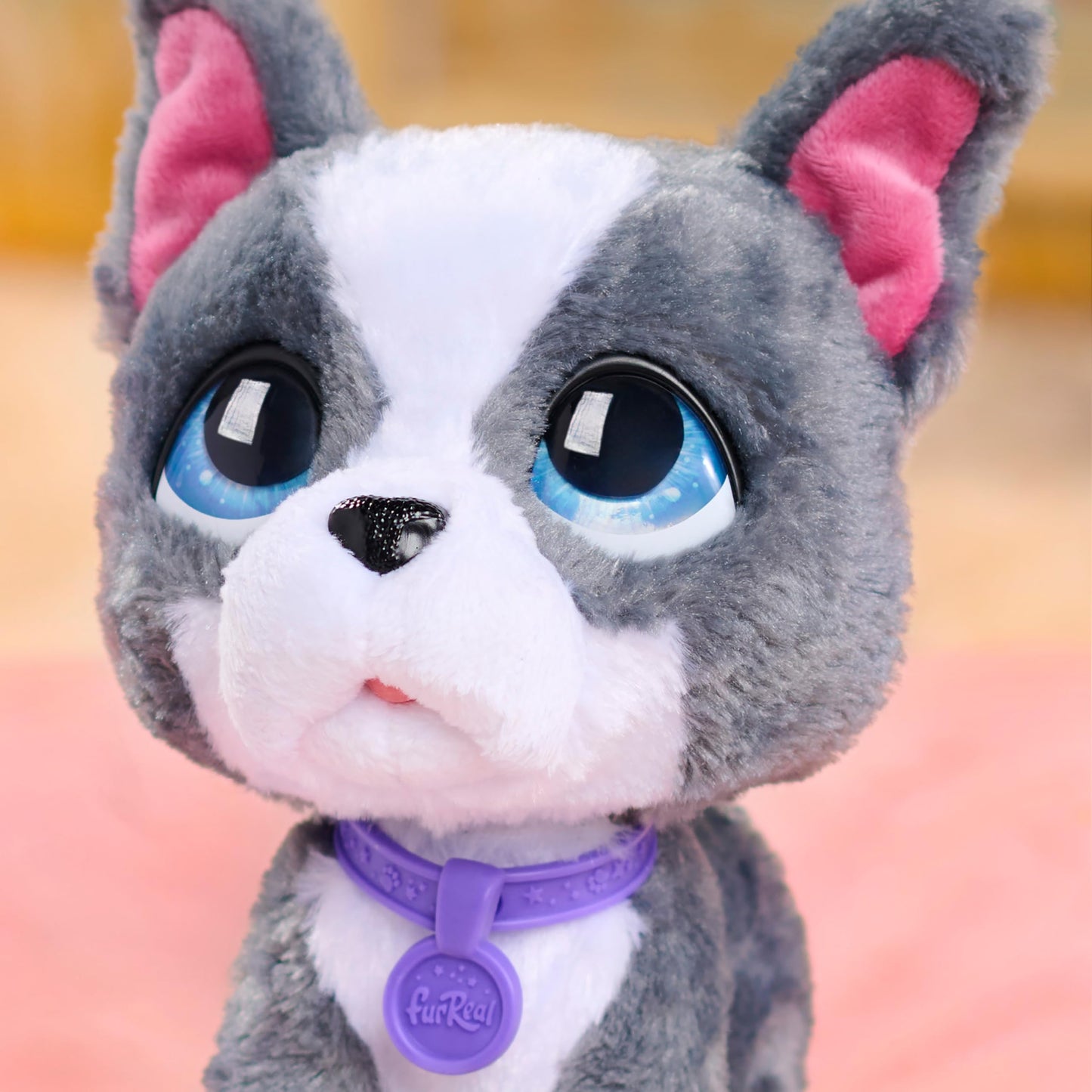 FurReal Walk-a-Lots - French Bulldog, Kids Toys for Ages 4 Up, Gifts and Presents