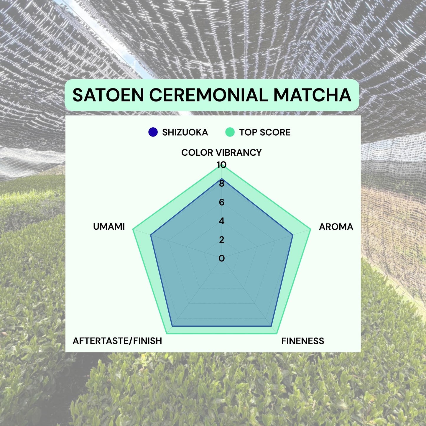 Satoen Authentic Japanese Ceremonial Grade Matcha Powder - Ceremonial Matcha Green Tea Powder from 100% Spring Premium First Harvest - Crafted for Matcha Straight Tea (100g)