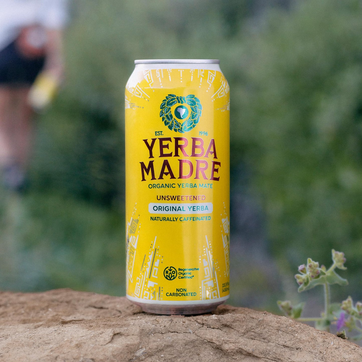 Yerba Madre Organic Yerba Mate, Energy Drink Alternative, Unsweetened Original Yerba, 150mg Plant Based Caffeine, Smooth Energy & Focus, No Jitters or Crash, 15.5oz Cans (Pack of 12)