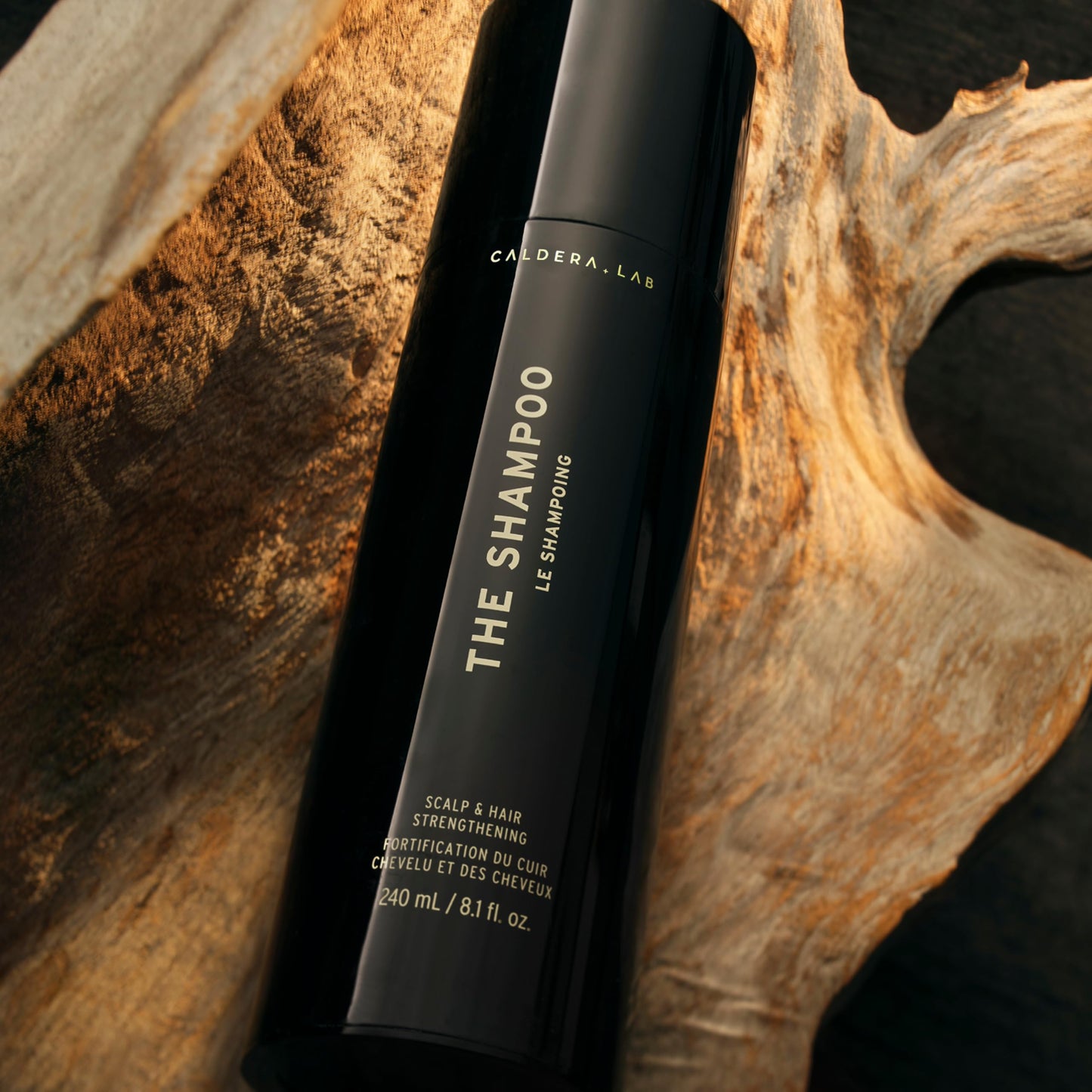 Caldera + Lab The Shampoo | Men’s Shampoo for Healthy Hair, Sulfate-Free Daily Cleanser, Dermatologically Tested - All Hair Types