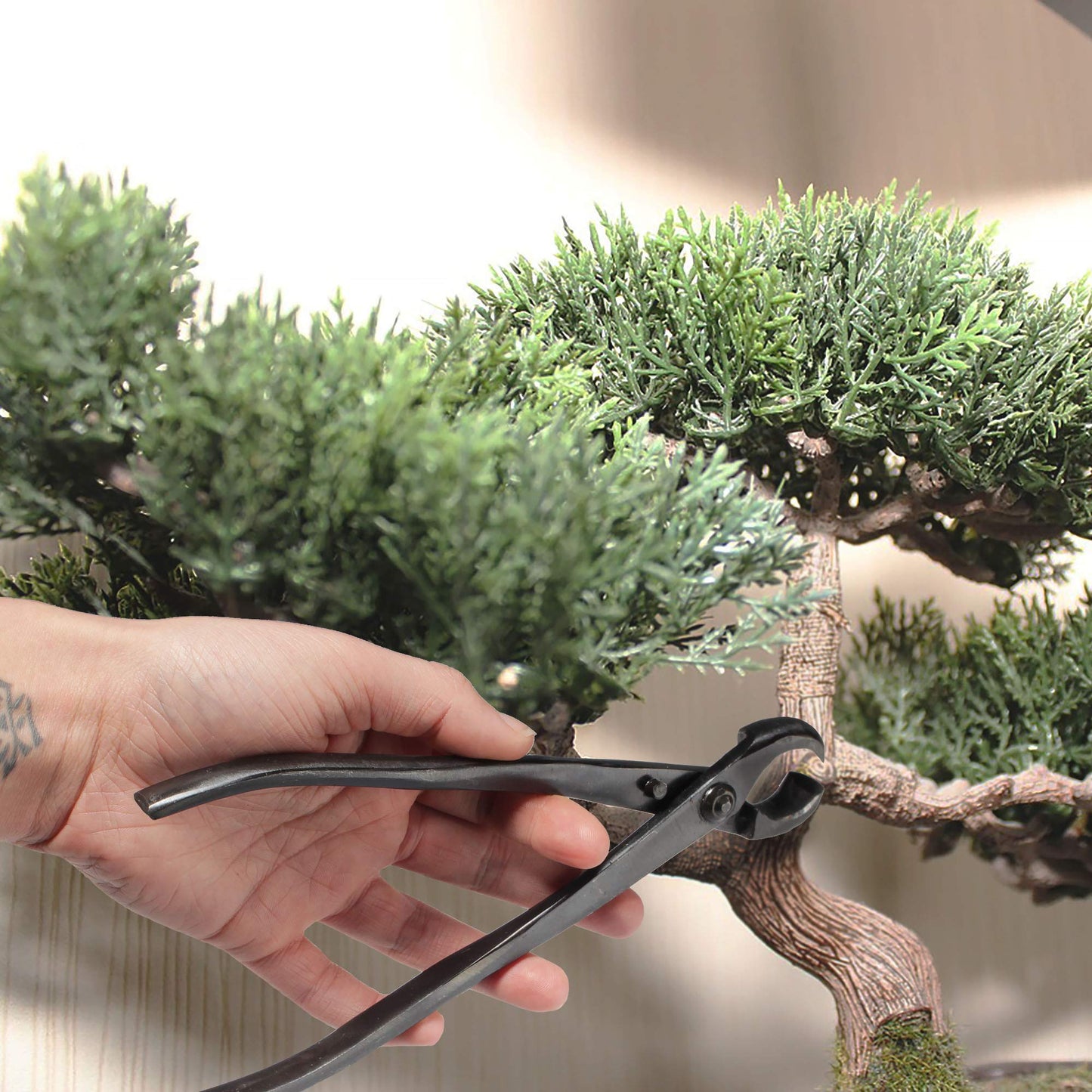 BambooMN Bonsai Tool Kit - 8" Concave Cutter & 8" Knob Cutter - 1 Set