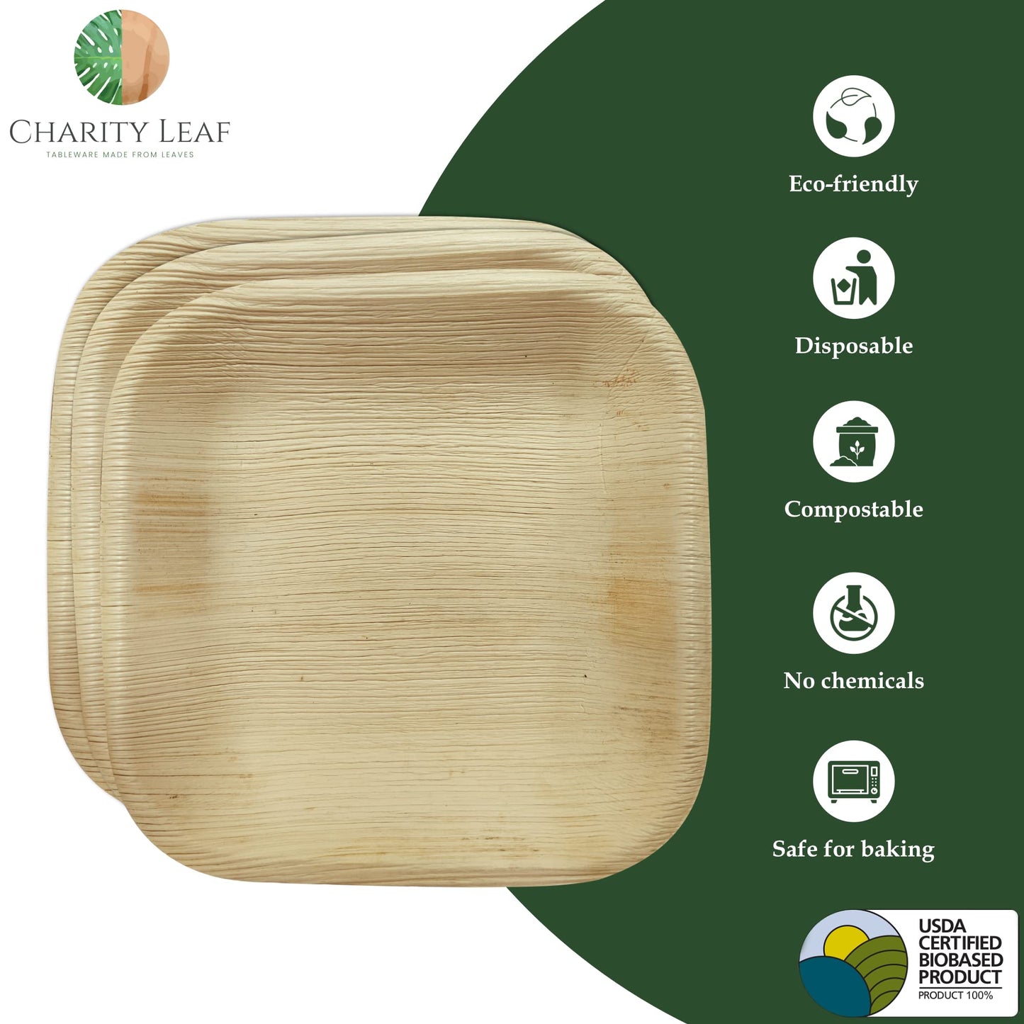 Charity Leaf Disposable Palm Leaf 6" Square Plates (200 pieces) Bamboo Like Serving Platters, Disposable Boards, Eco-Friendly Dinnerware For Weddings, Catering, Events