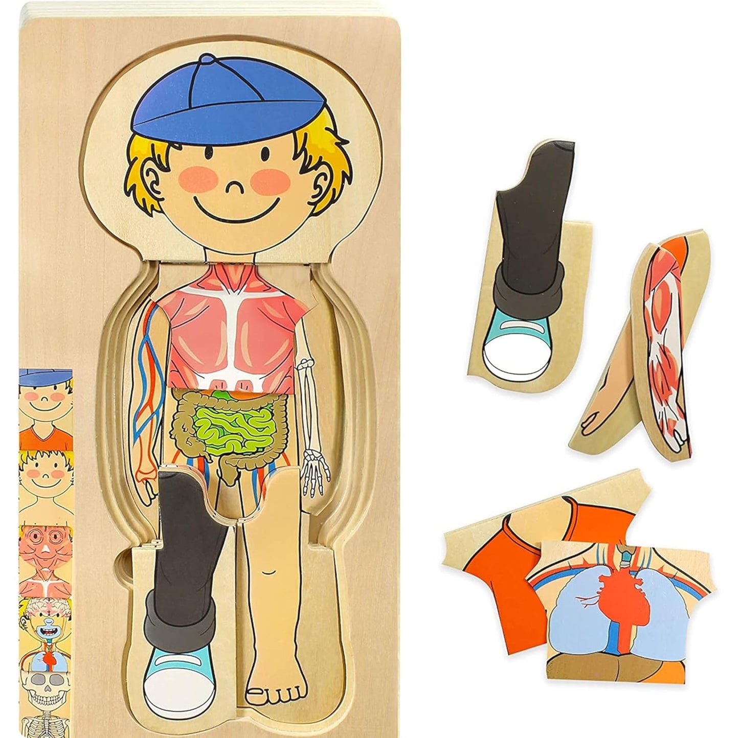 Kidzlane Wooden Human Body Puzzle for Kids and Toddlers | 29 Piece Boys Anatomy Play Set | Skeleton Toy for Ages 3+