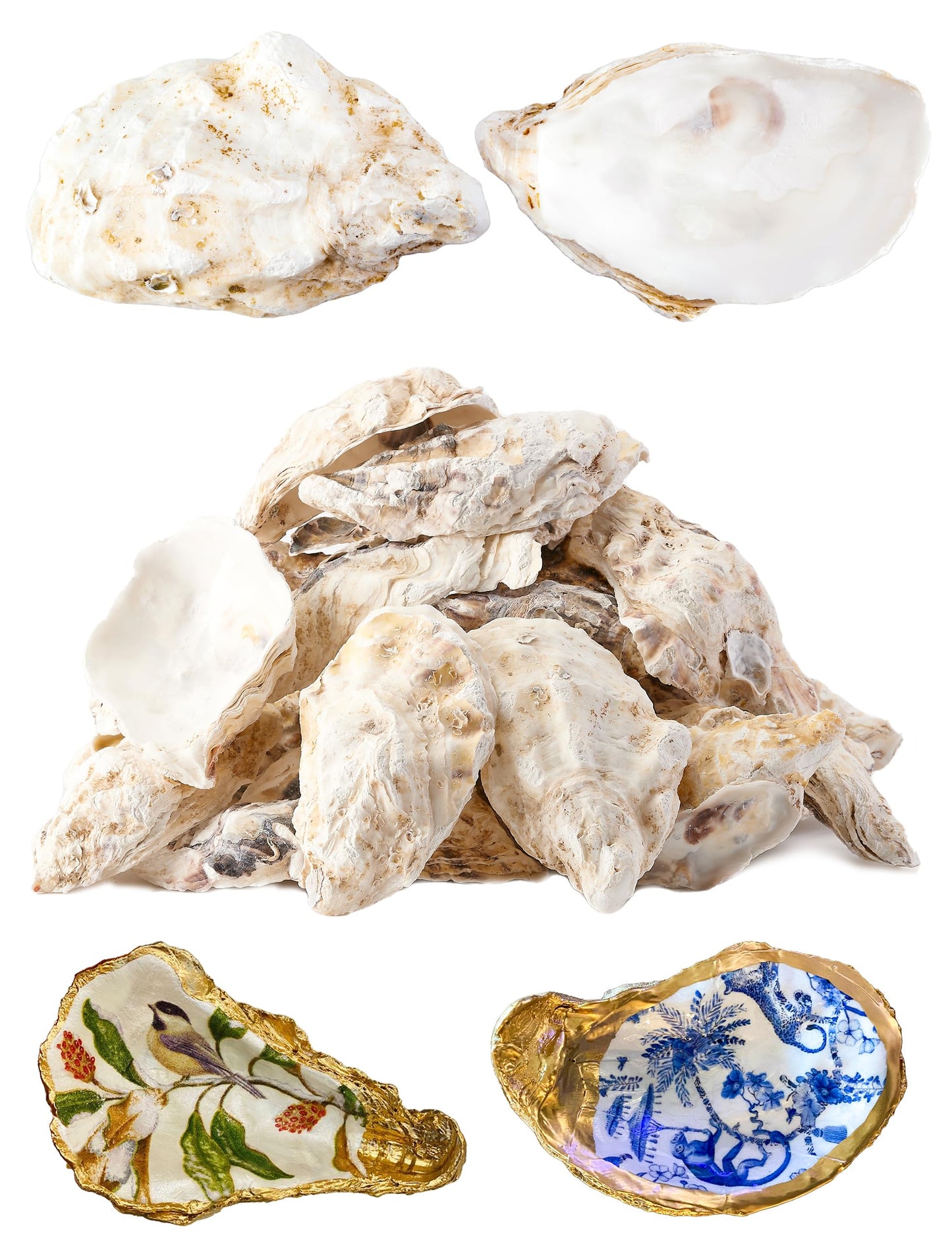 30Pcs Oyster Shells for Crafts， 4"-5" Large Oyster Shell for Crafts，Oyster Shells for Christmas 、Painting、 Beach Themes、 Wedding, Home Shells for Decoration and Sea Shells for Crafting
