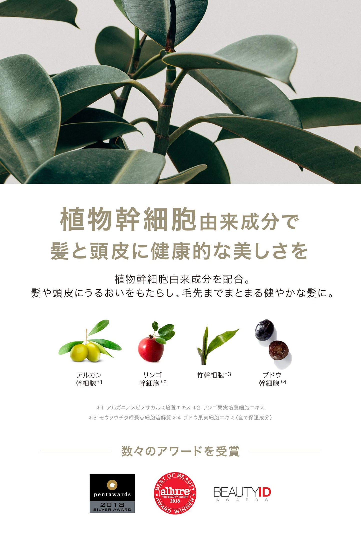 NATURELAB. TOKYO Perfect Repair Conditioner: Eco-Friendly Refill Pouch: Moisturizing Conditioner to Replenish and Restore Damaged, Color Treated Hair and Strengthen New Hair I 22.9 FL OZ / 680ml
