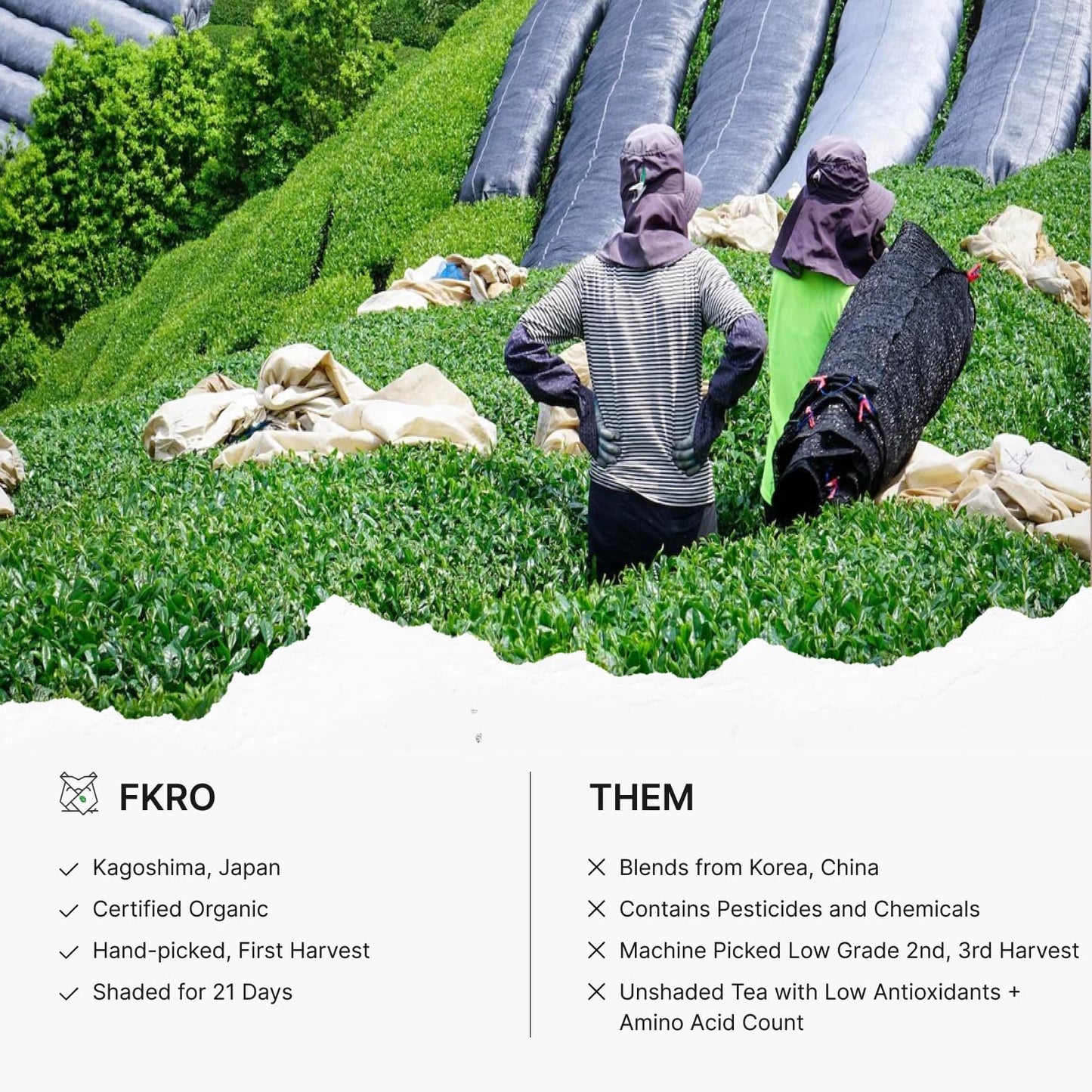 FKRO Organic Gyokuro | Premium Japanese Shade-Grown Green Tea | Hand-Picked Loose Leaf Tea, Shaded for 21 Days | Freshly Flown from Japan Monthly (100g/3.5oz Pouch)