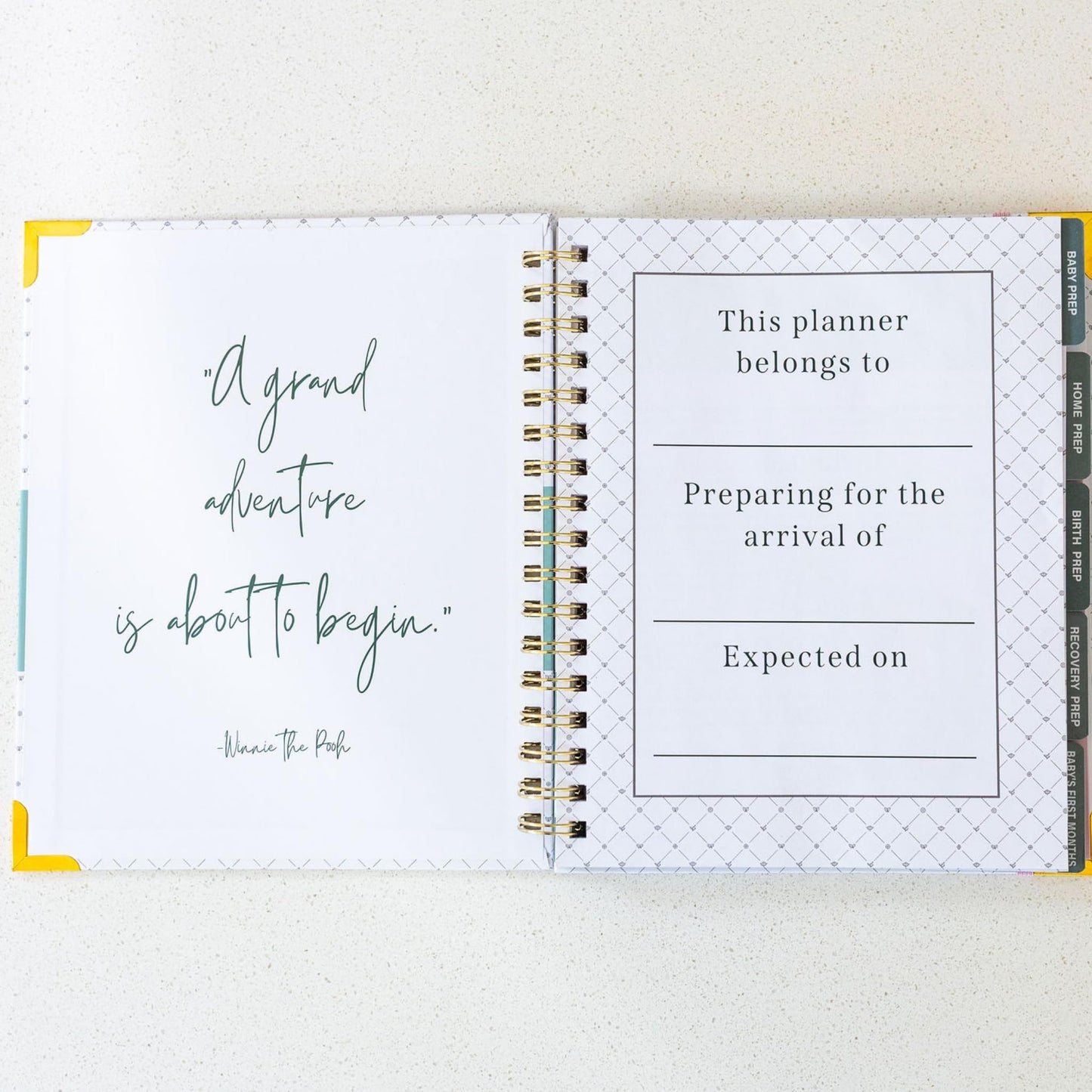 Expecting and Organized New Baby Planner – Pregnancy Organizer and Checklist Journal for First-Time Moms – 140+ Page Hardcover Keepsake by Undefining Motherhood