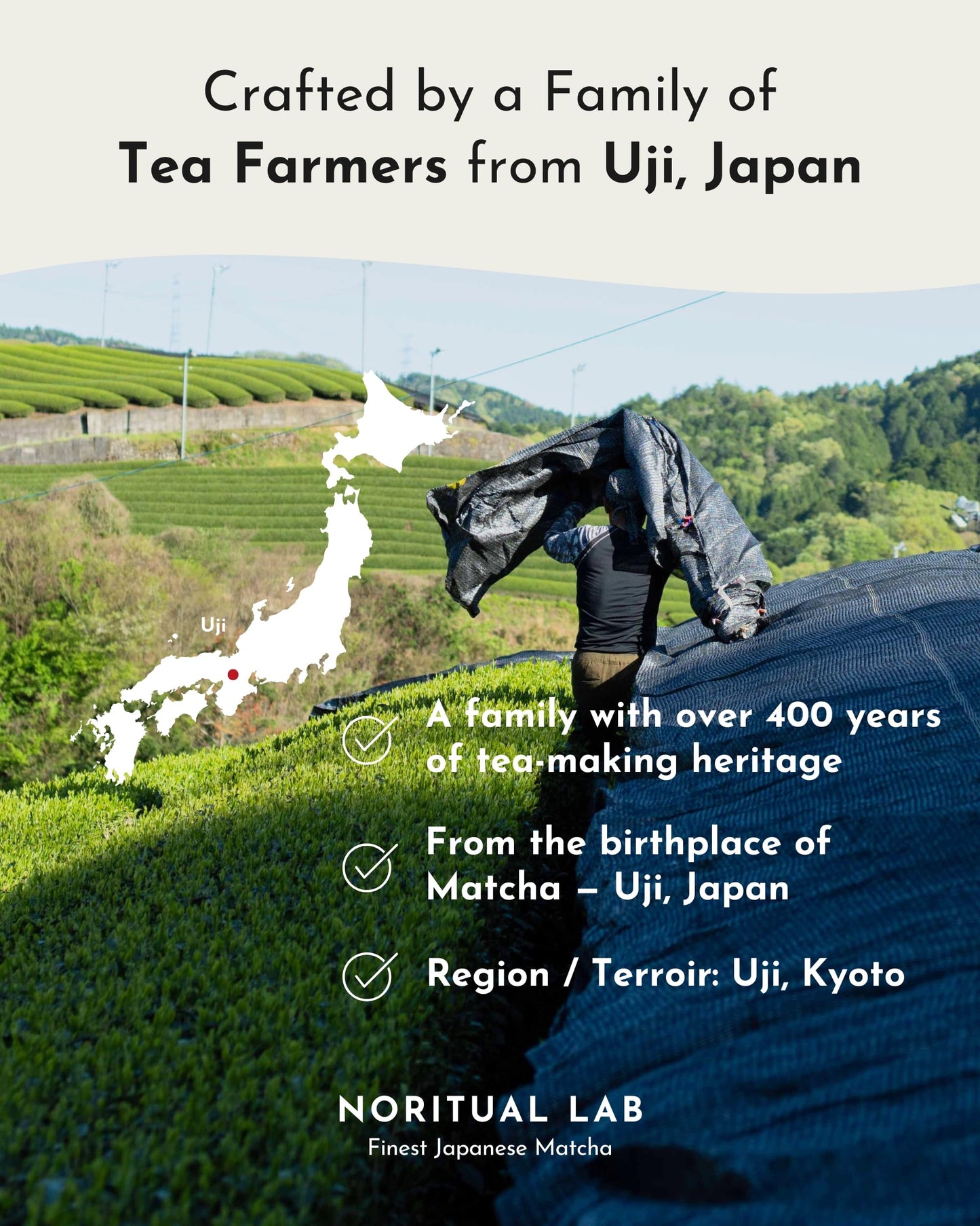 Ceremonial Matcha Uji - First Harvest - Uji Matcha - Pure Green Tea Powder from Japan - 100% Natural - 2.50 OZ