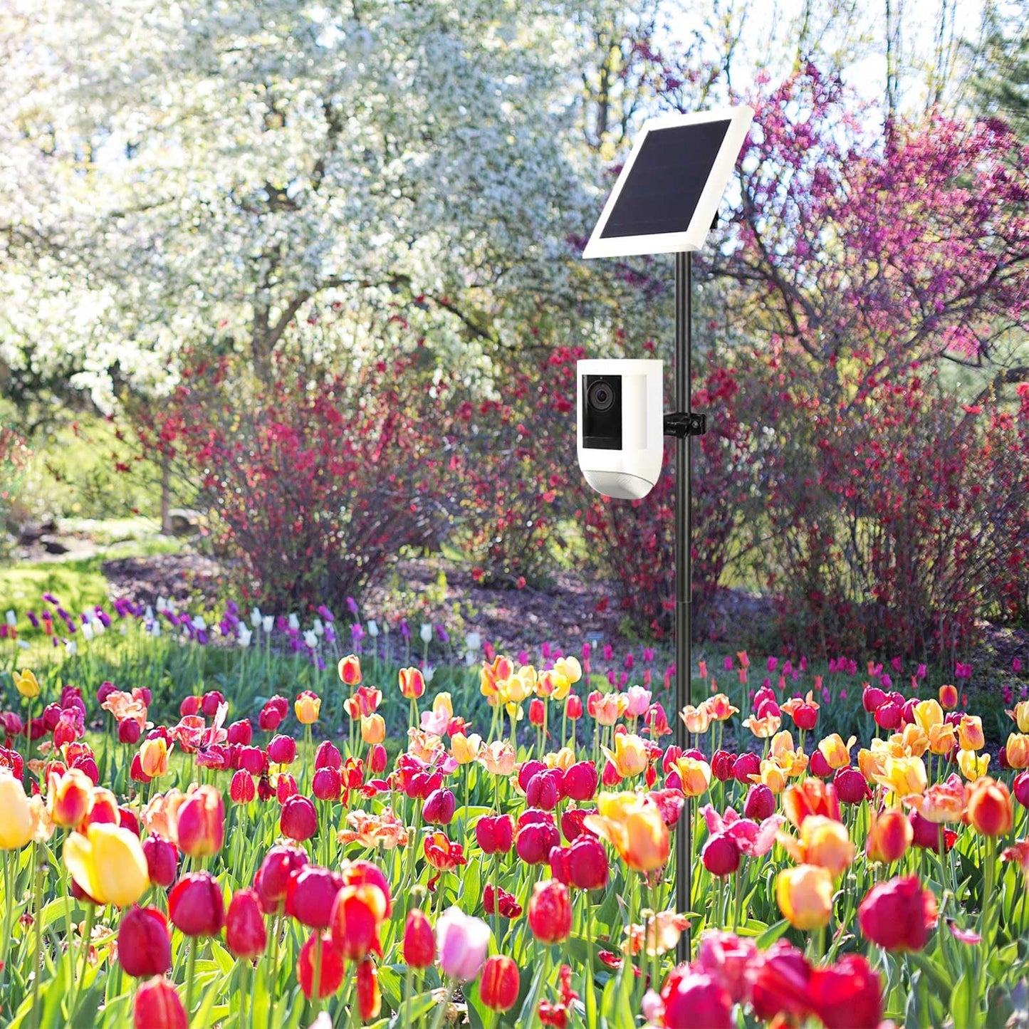 Koroao 31.49 or 47.24 inch Ground Stake Mount Stand with Solar Panel Mount for Ring, Blink, Arlo, Eufy, Wyze, Google Nest, Simplisafe Cameras and Solar Panels Ground Stake Bracket（Black）