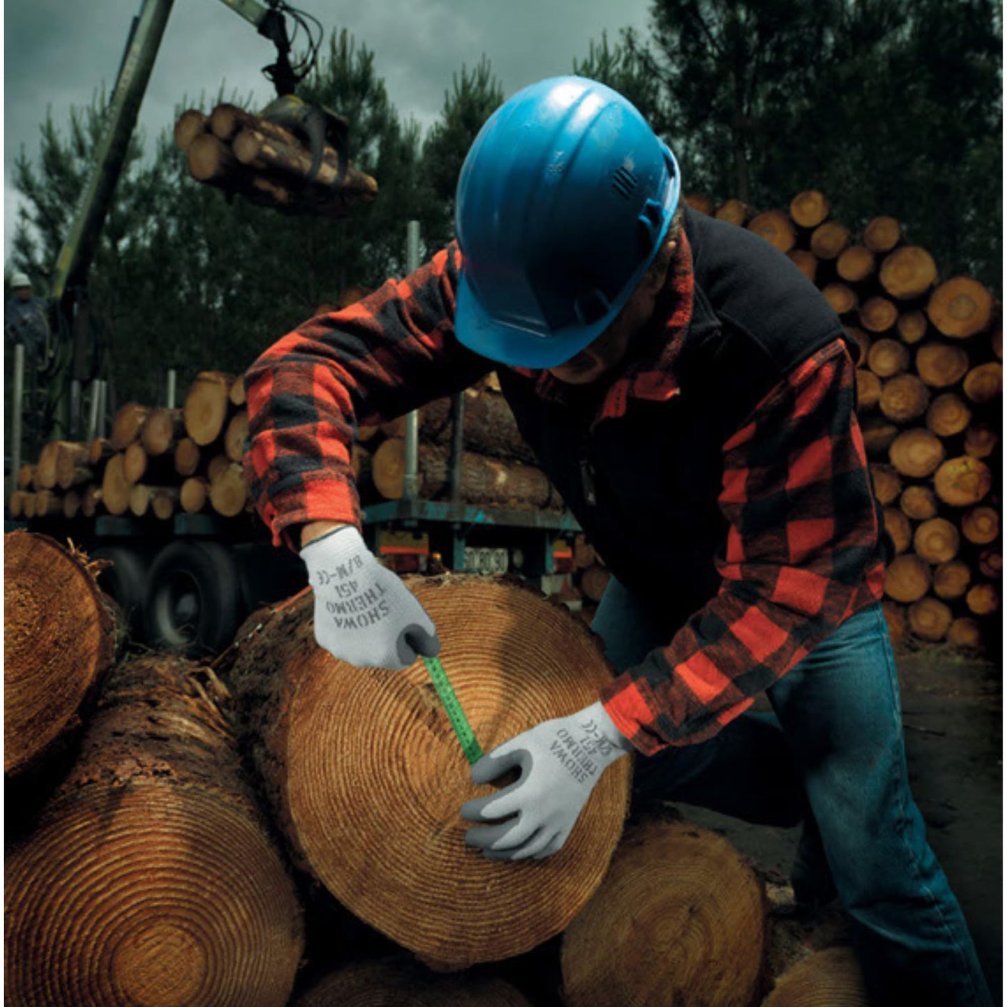 SHOWA Atlas 451 Natural Rubber Latex Palm Coated Insulated General Purpose Winter Work Glove with Poly Blend Liner, Large (12 Pair)