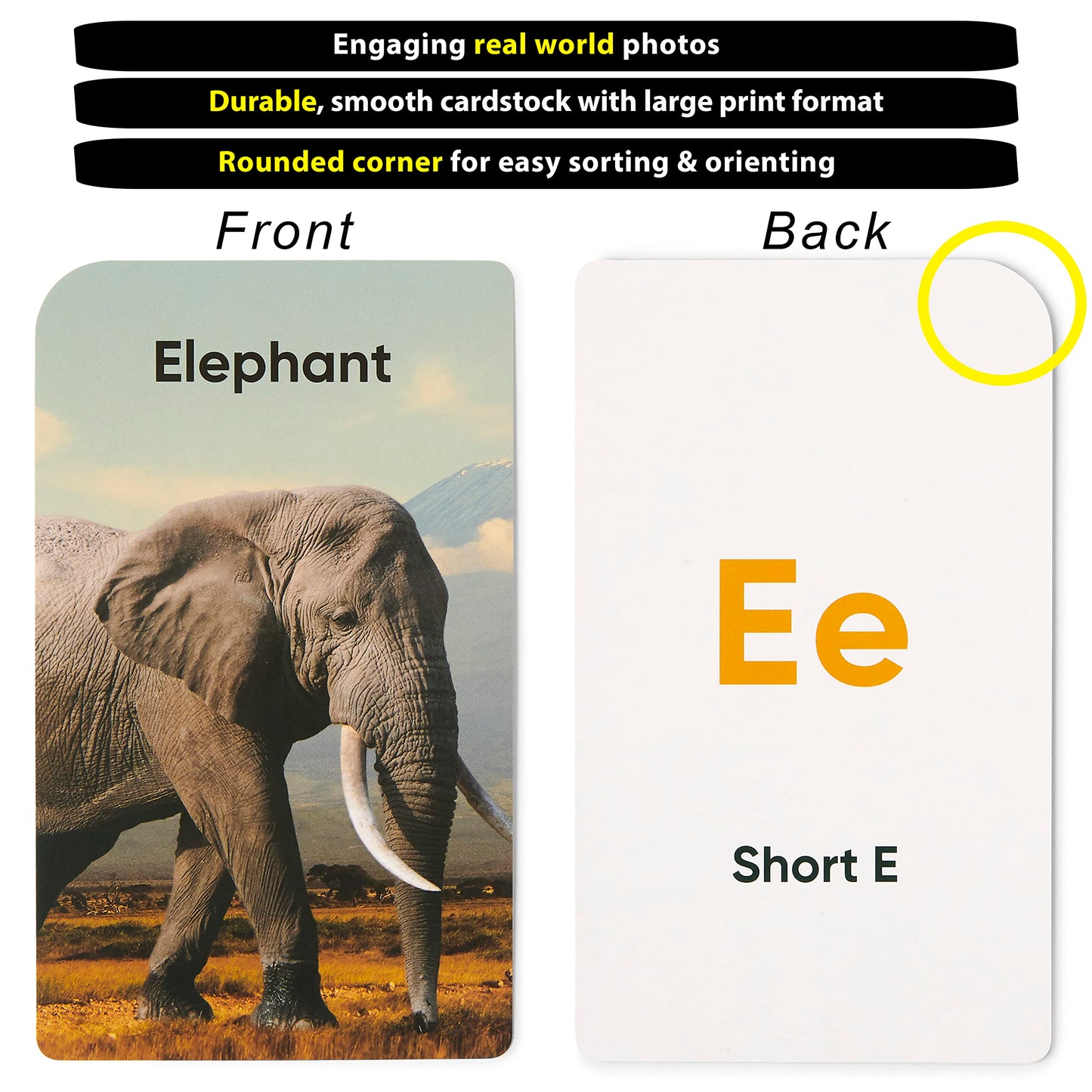 Preschool Flash Cards Learning Bundle - Alphabet, Numbers, Colors, Shapes, First Words, & Rhyming for Toddlers Ages 2-6