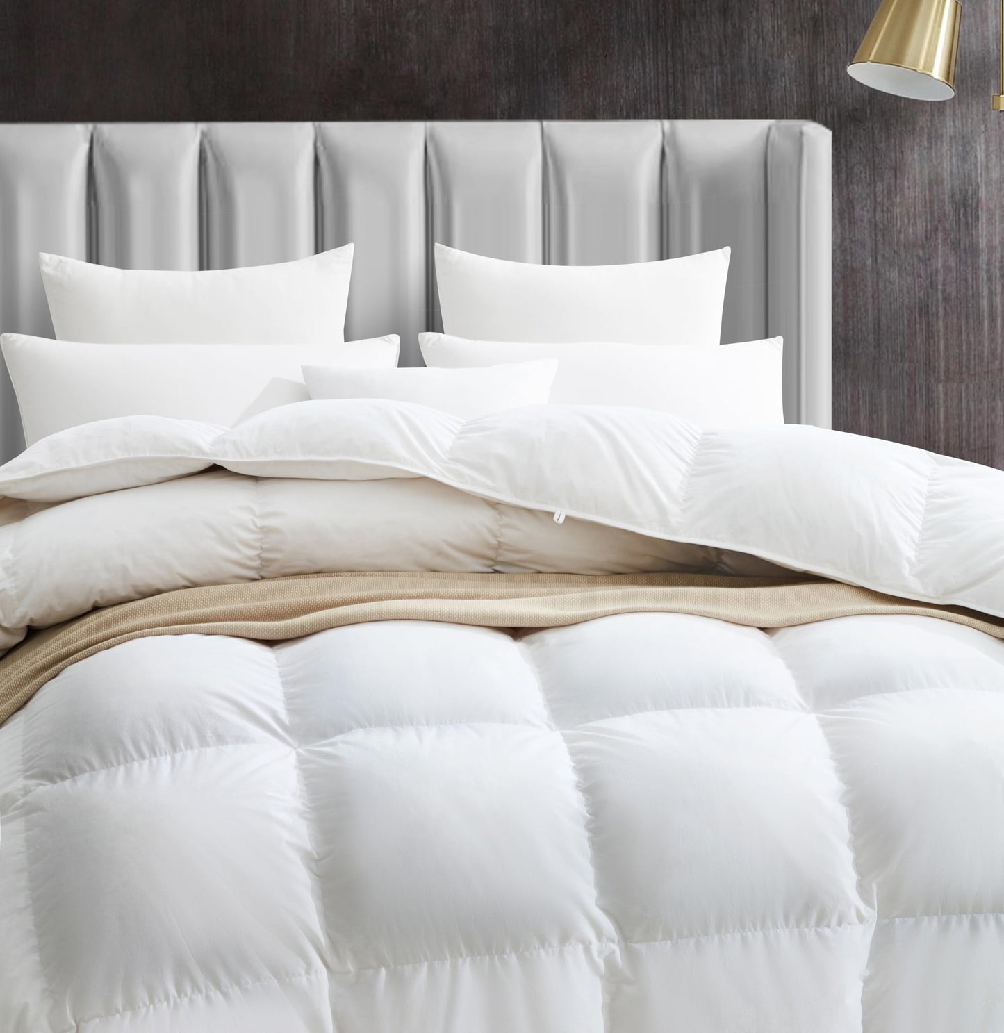 Maple&Stone Down Comforter Full Size, All Season Duvet Insert with 8 Corner Tabs, 100% Cotton Comforter, Luxury Hotel Bedding (82 x 86 Inches, White)