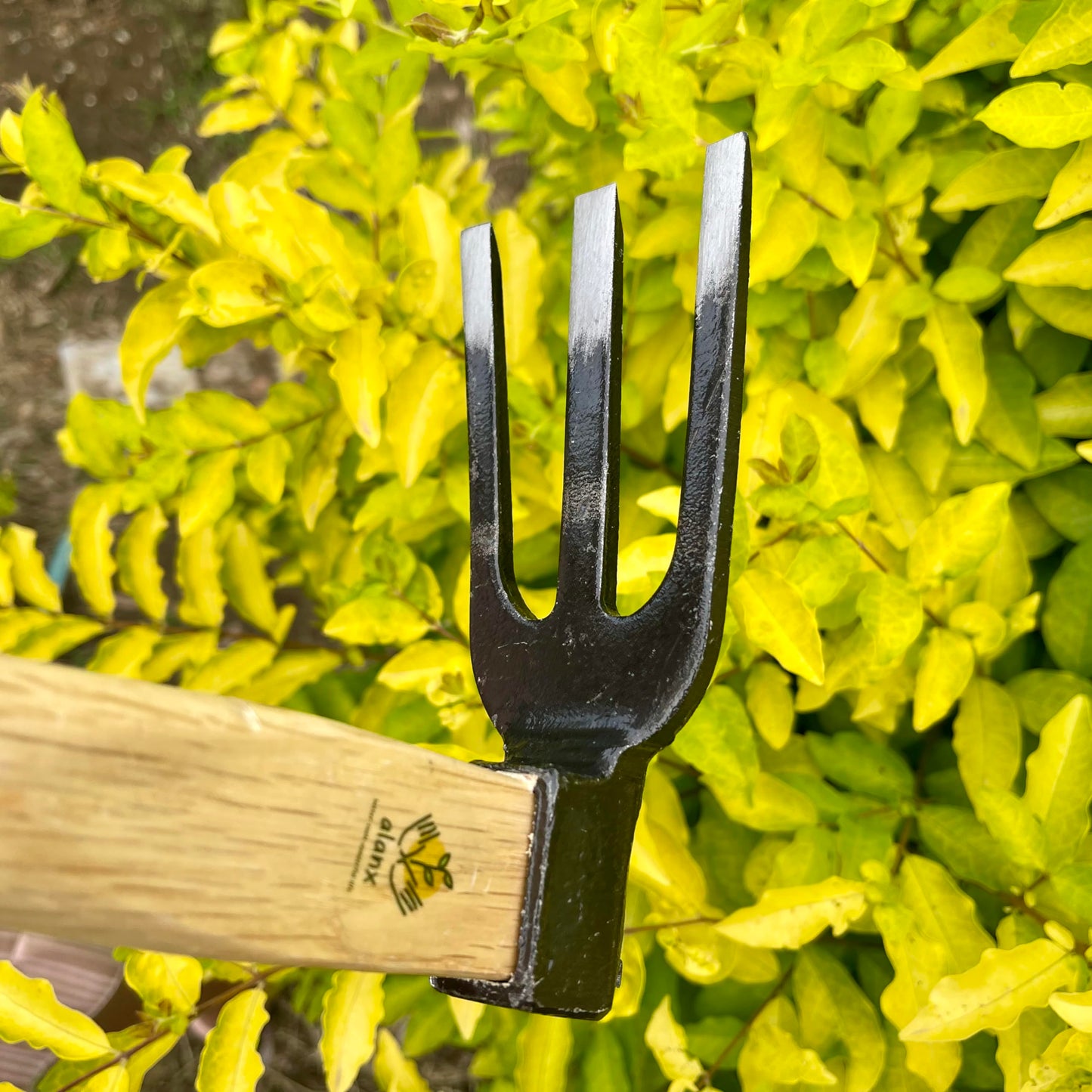 14 inch Japanese Hand Tiller/Rake for Garden, 3-tines Cultivator, Without Welding, Oak Handle, for Digging, Soil Preparation, Chopping Through Roots and Hard Soil and Other Gardening tasks