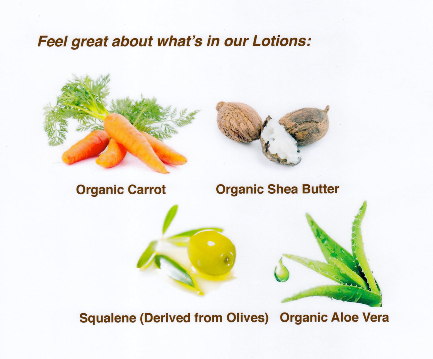 Bronzo Sensuale After Sun and Sun Tan Extender Organic Carrot Lotions 8.5 Ounces