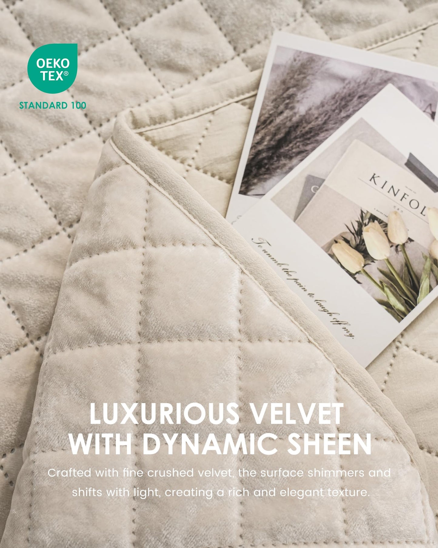 dennylife Luxury Velvet Queen Quilt Set, Ultra Soft Lightweight Cream White Velvet Comforter Set, Oversized Bedspread Coverlet with 2 Pillowcases Diamond Pattern, for All Season (Beige)