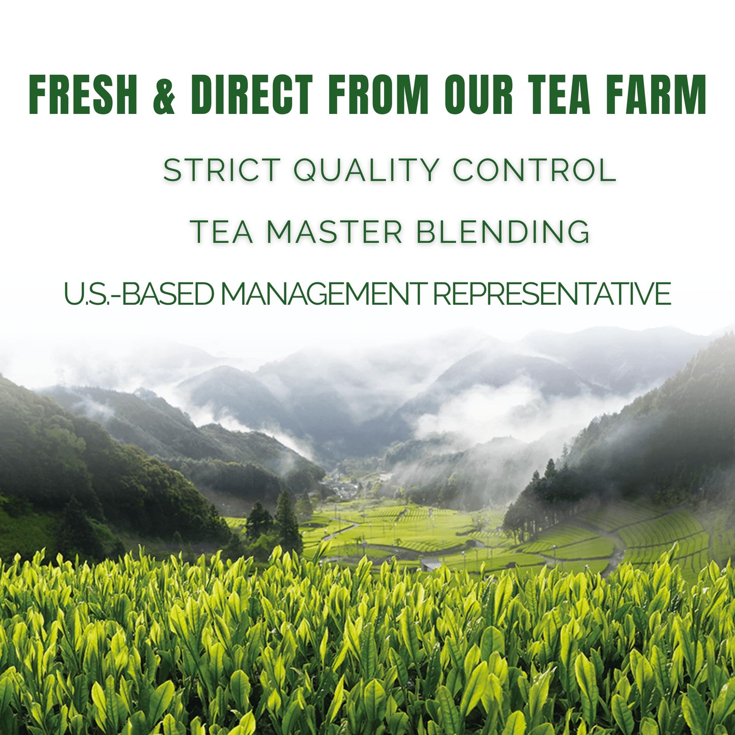 Satoen Authentic Japanese Ceremonial Grade Matcha Powder - Ceremonial Matcha Green Tea Powder from 100% Spring Premium First Harvest - Crafted for Matcha Straight Tea (100g)
