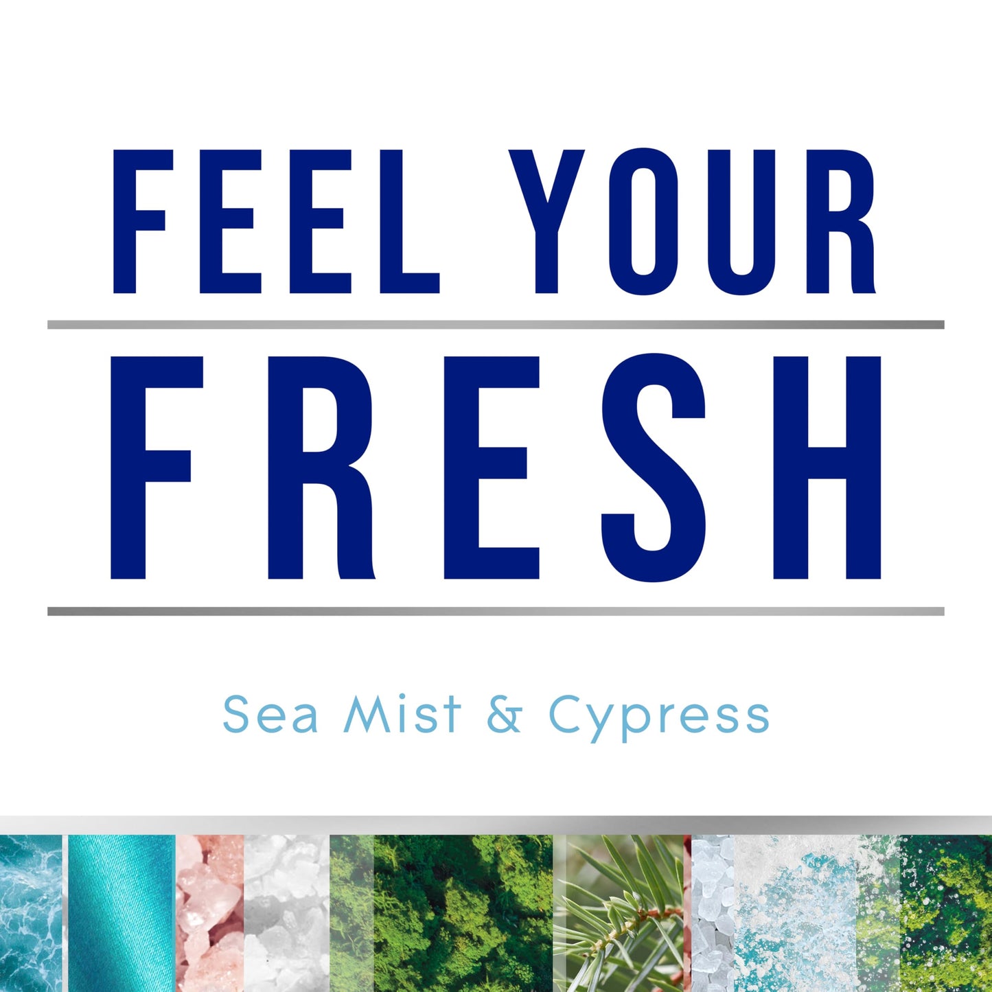 Glade Automatic Spray Refill, Sea Mist & Cypress, Scented Air Freshener for Home and Bathroom, 6.2 Oz, 6 Count