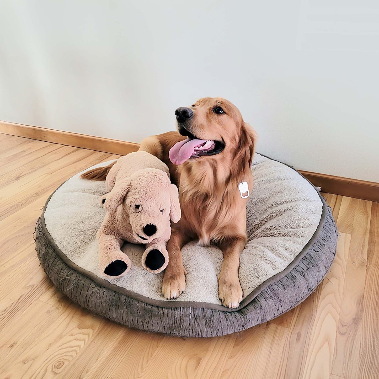 LotFancy 27'' Cuddly Golden Retriever Stuffed Animal, Large Plush Dog Toy, Gifts for Kids, Pets on Birthday Party Favors Thanksgiving Xmas, Beige